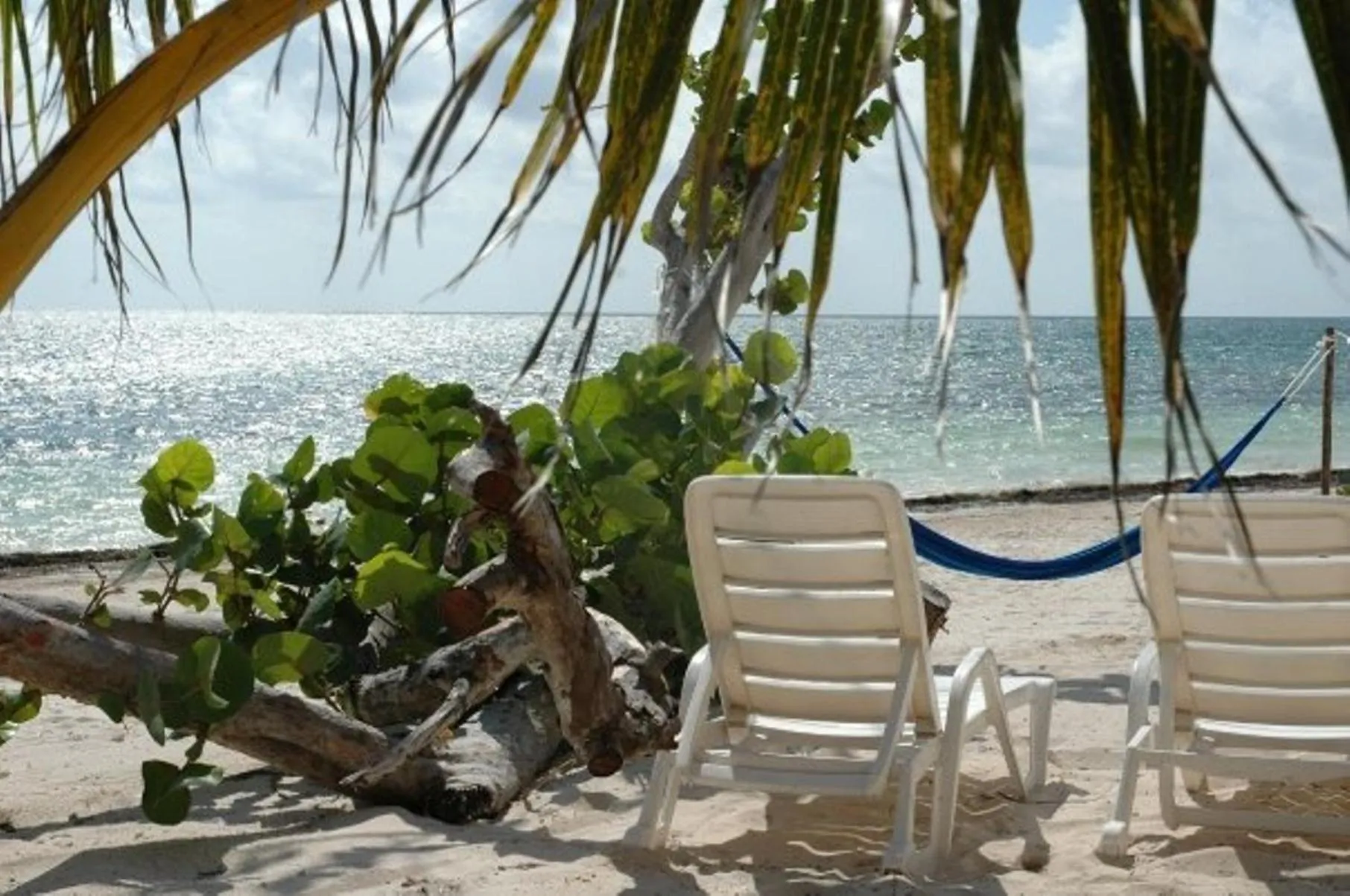 Sea view in Margarita del Sol Hotel Costa Maya