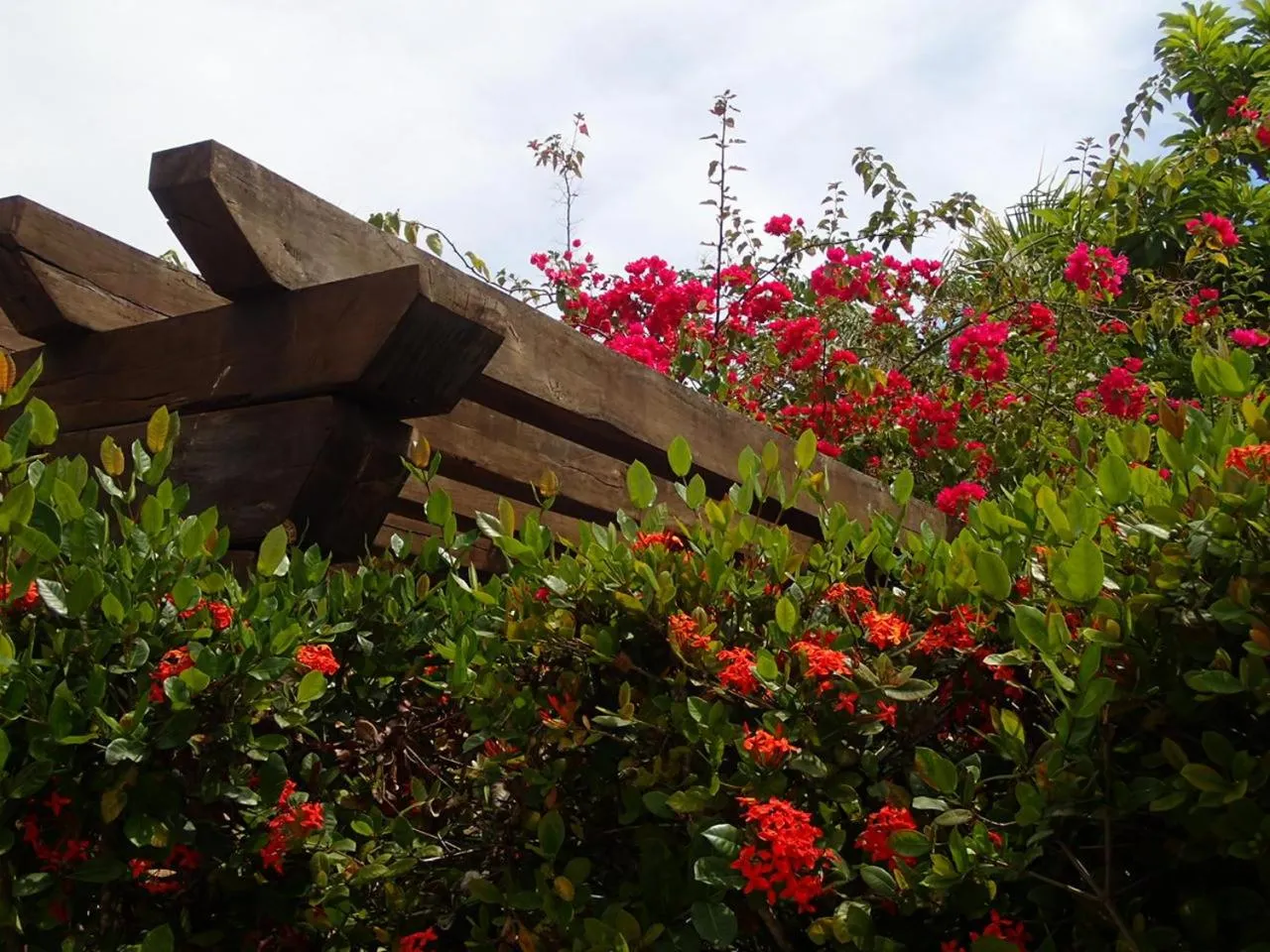 On site in Margarita del Sol Hotel Costa Maya