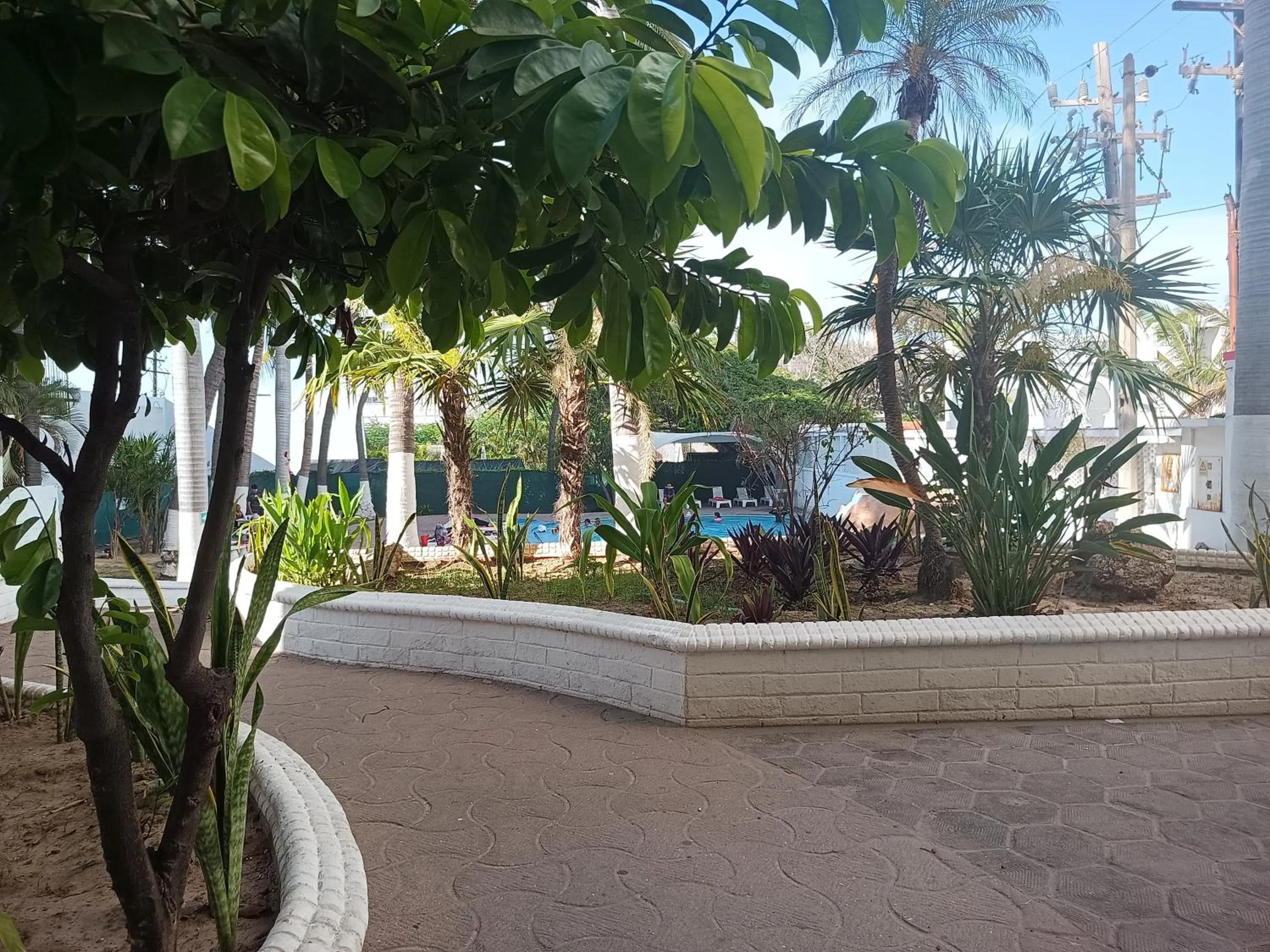 Swimming pool in Hotel Essen's