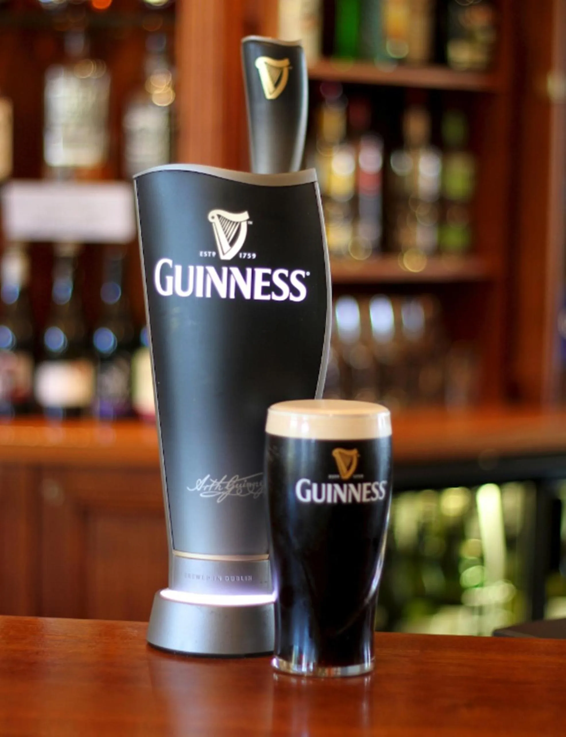 Lounge or bar in The Prince Albert Backpackers & Bar