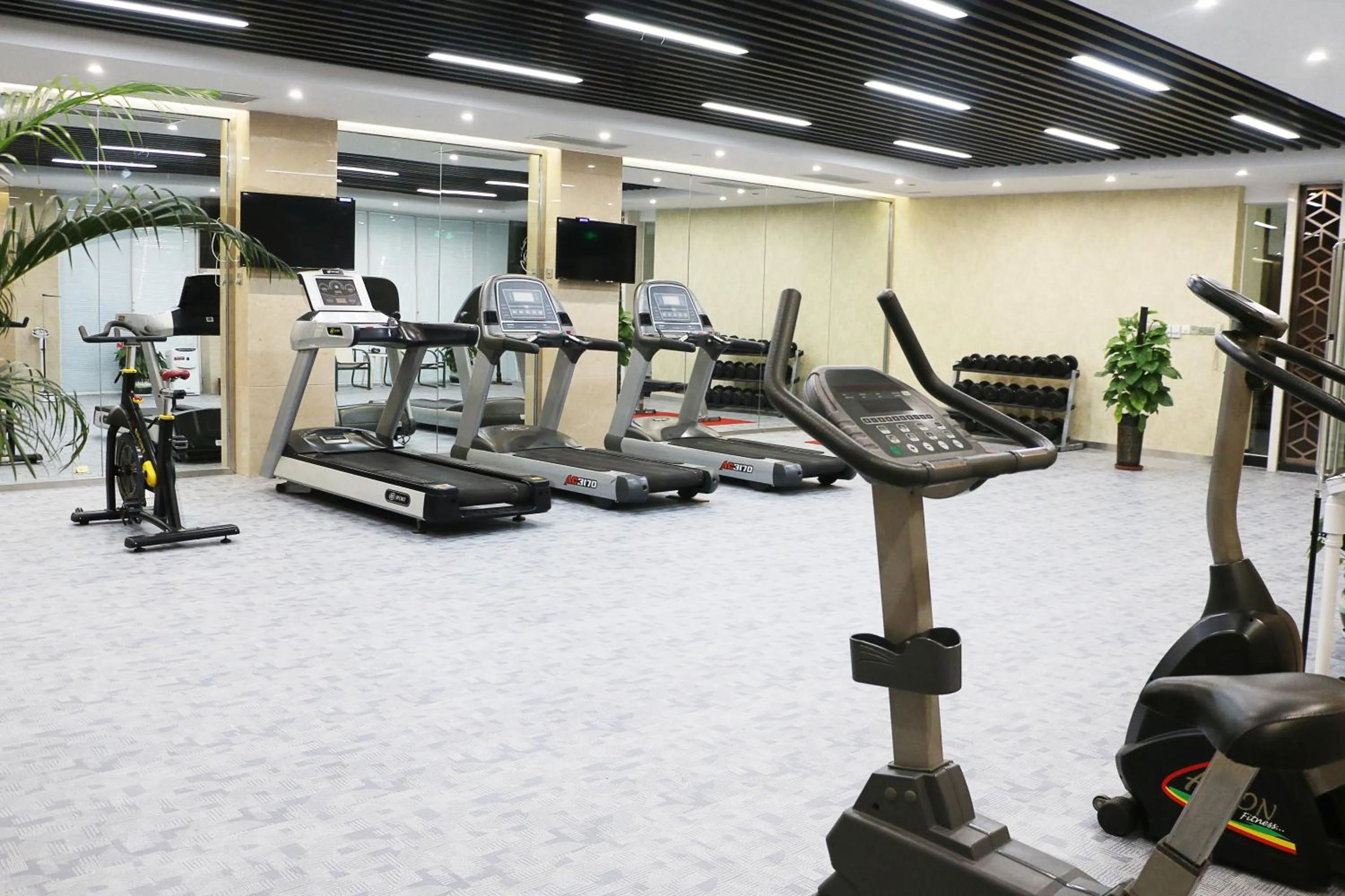 Fitness centre/facilities in Ramada Plaza By Wyndham Taian