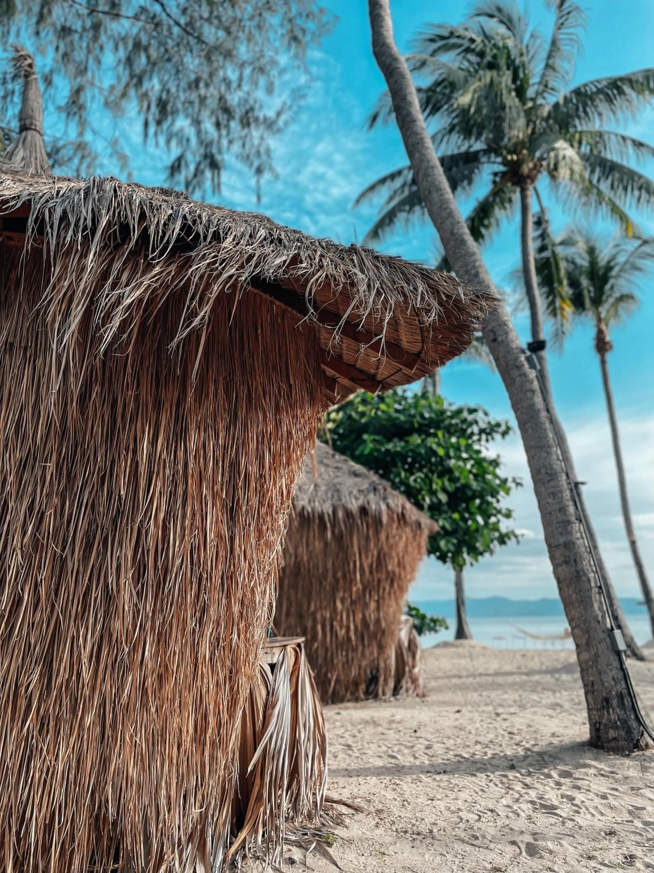 Beach in Sea Love Beach Bar & Bungalows