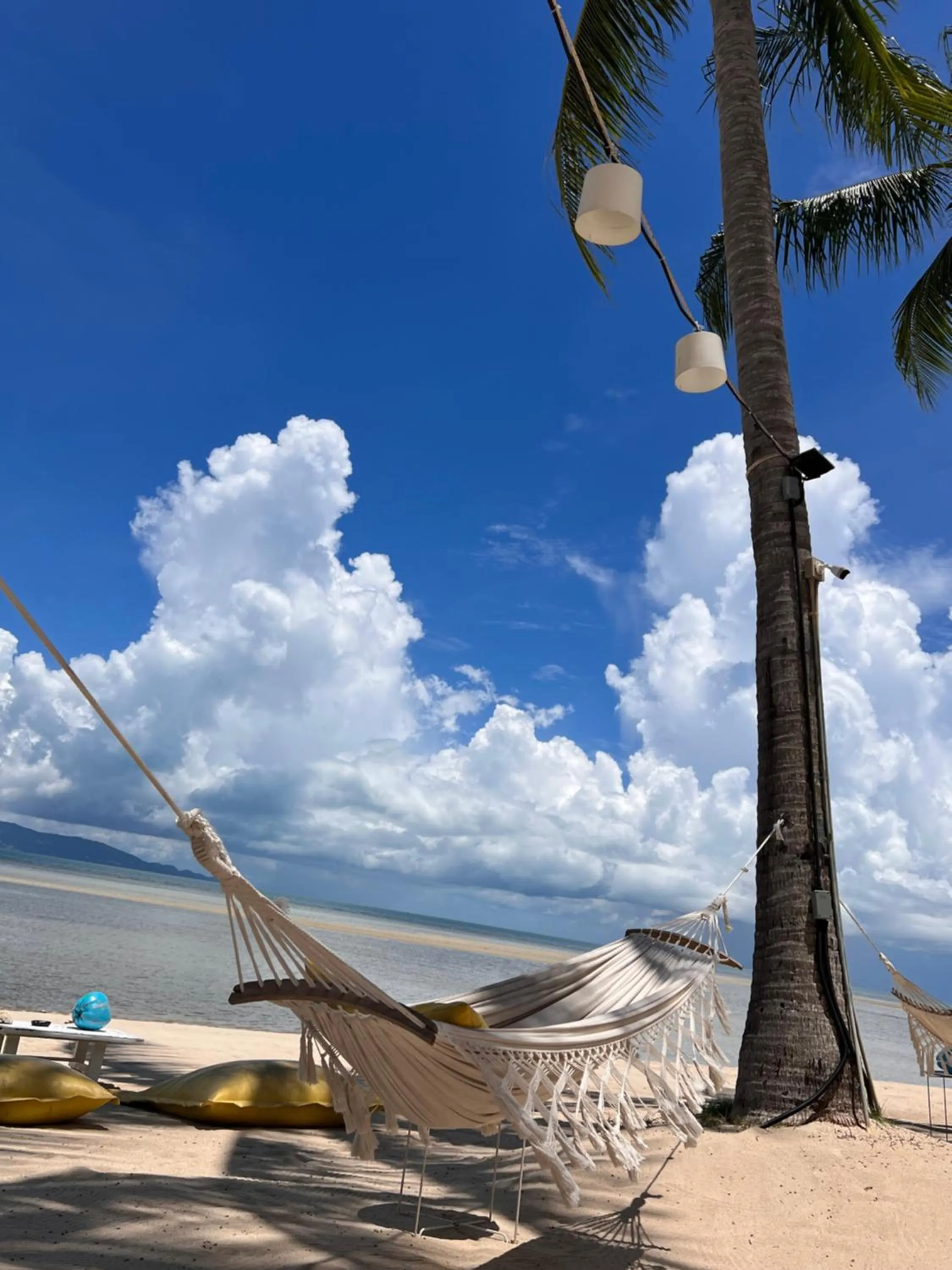 Beach in Sea Love Beach Bar & Bungalows