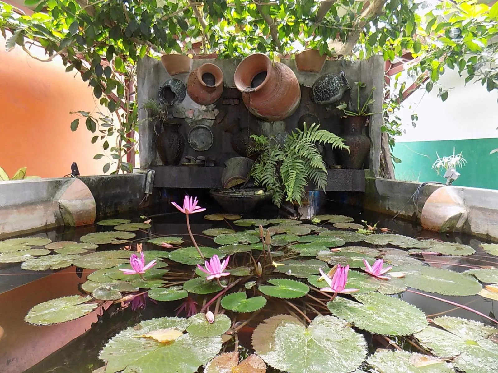 Garden in T Star Cottage Langkawi