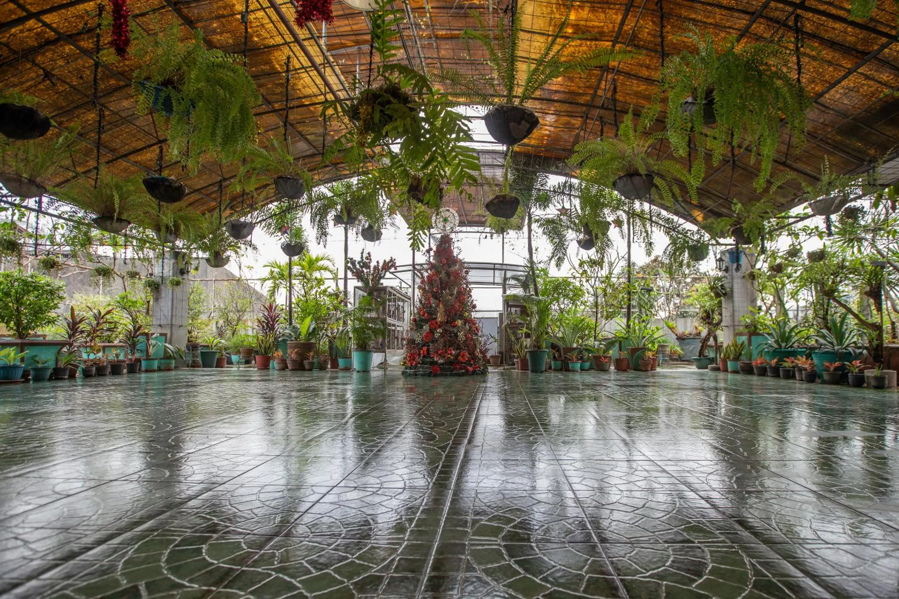 Garden in Newgrange Condotel