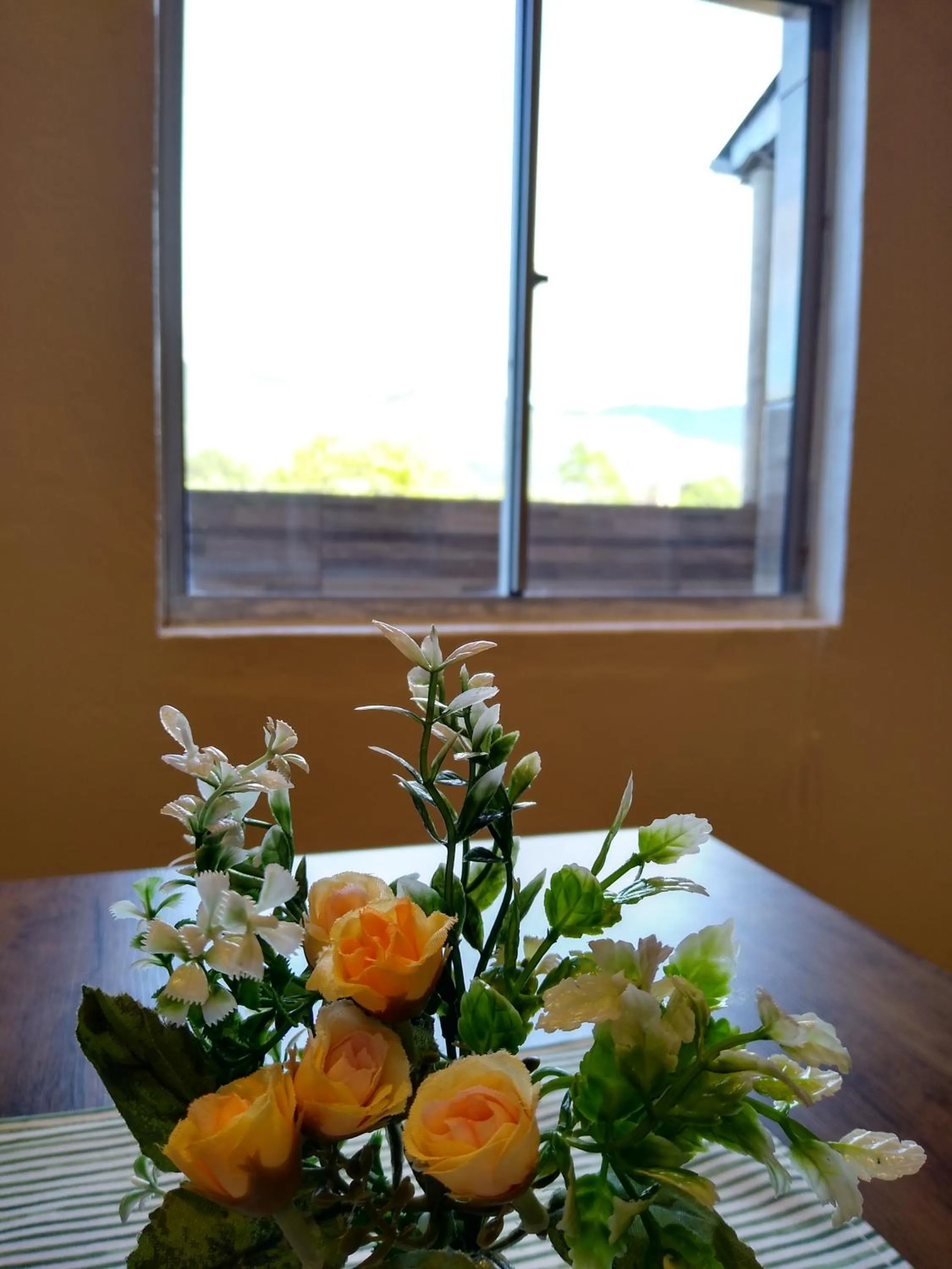Seating area in Pousada Vó Celina