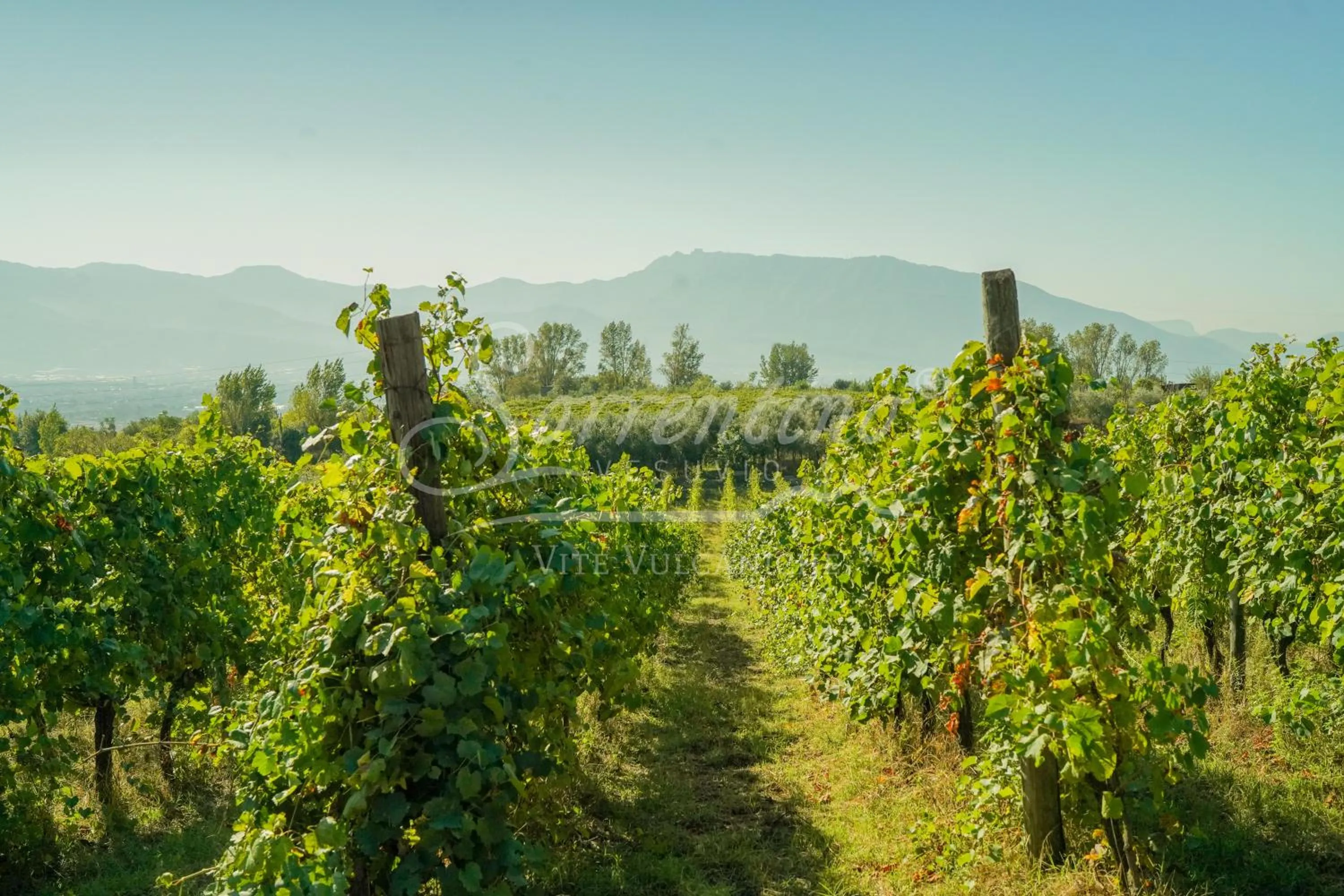 Property building in Vesuvio Inn Bed & Wine Experience