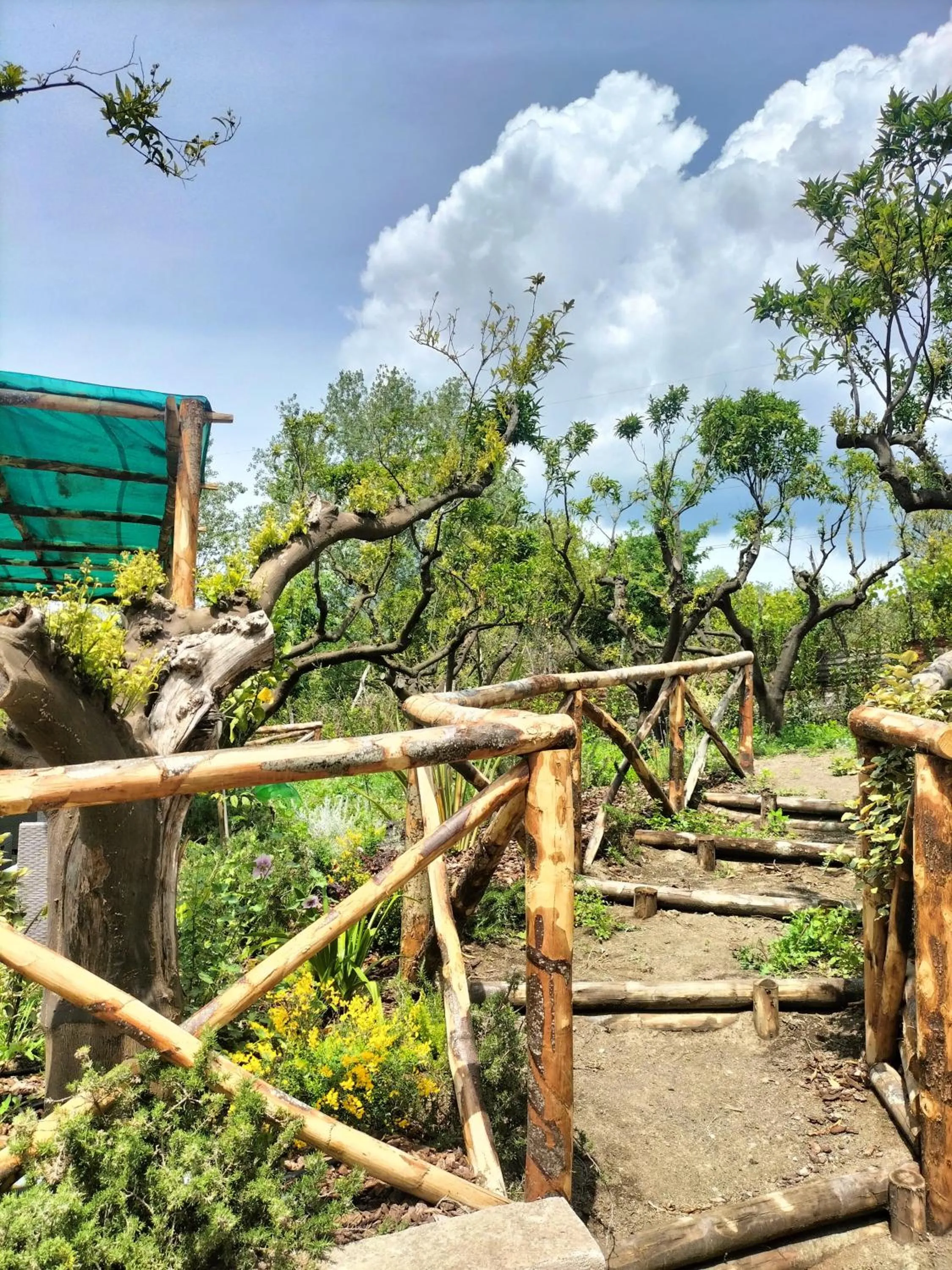 Garden in Vesuvio Inn Bed & Wine Experience