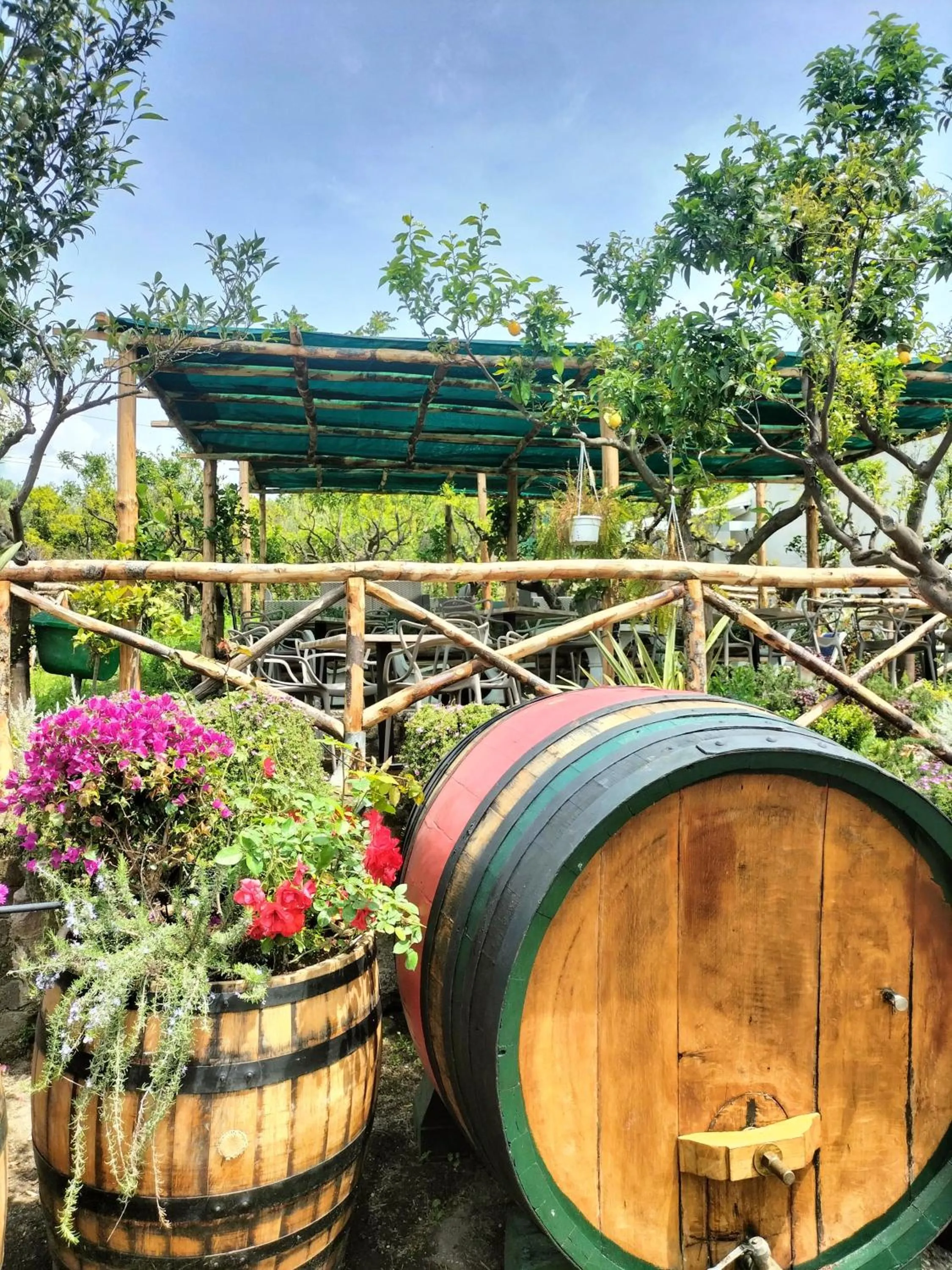 Garden in Vesuvio Inn Bed & Wine Experience