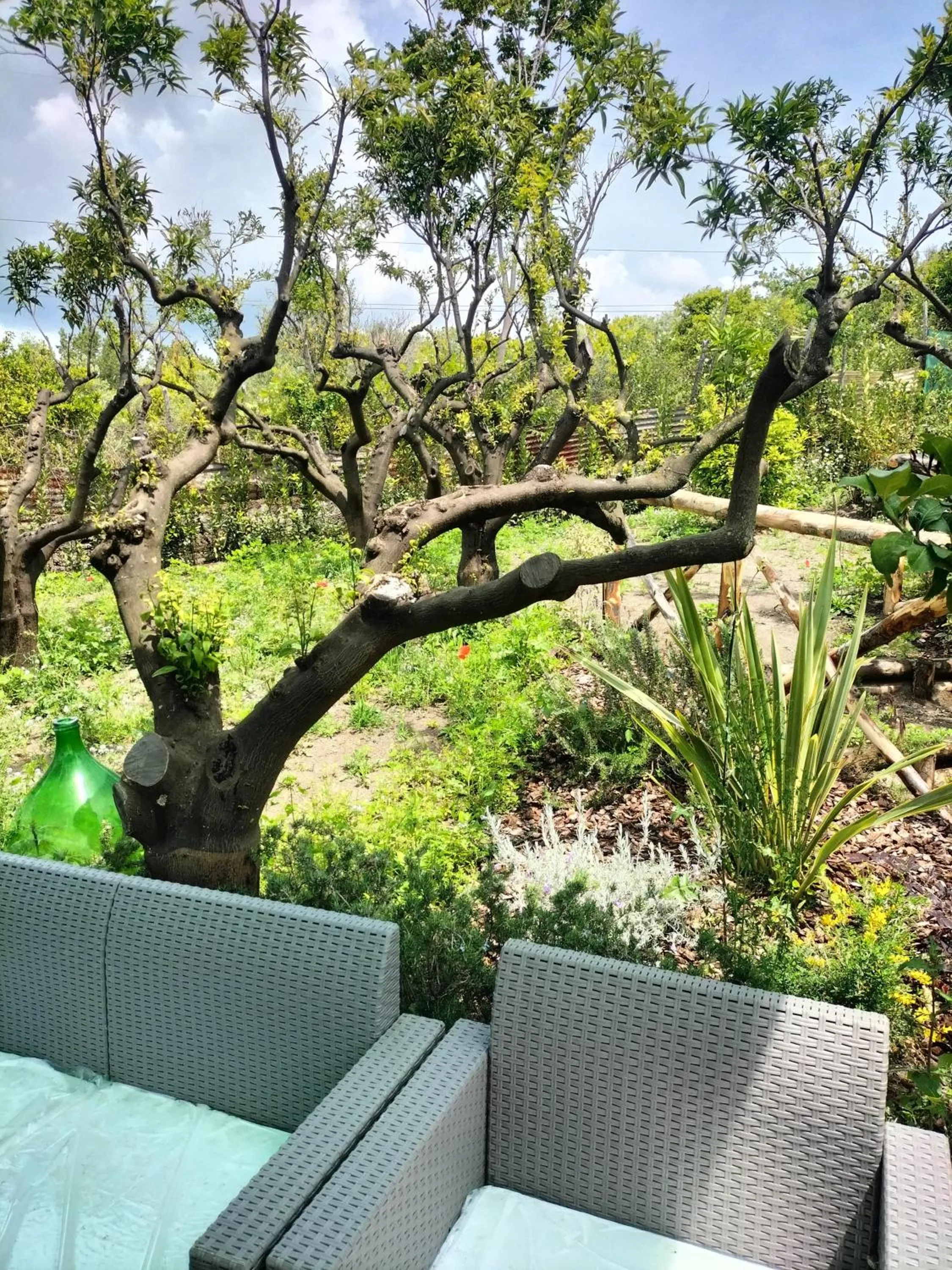 Garden in Vesuvio Inn Bed & Wine Experience