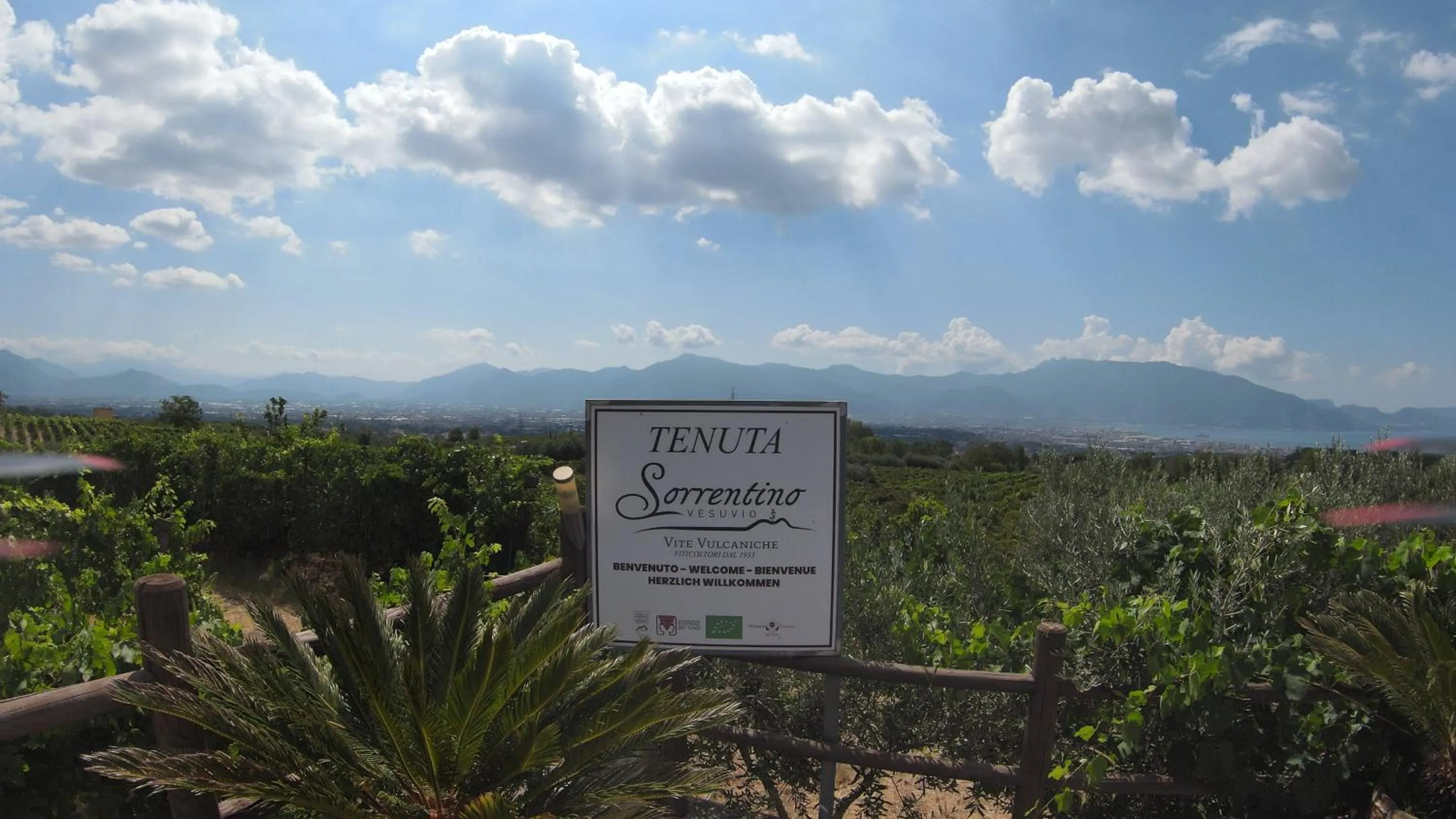 Property building in Vesuvio Inn Bed & Wine Experience