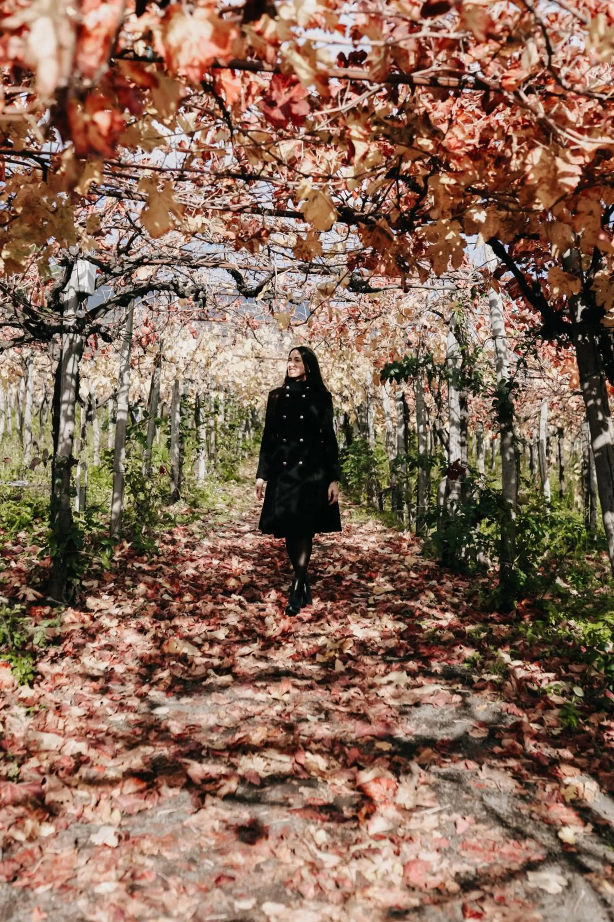 Natural landscape in Vesuvio Inn Bed & Wine Experience