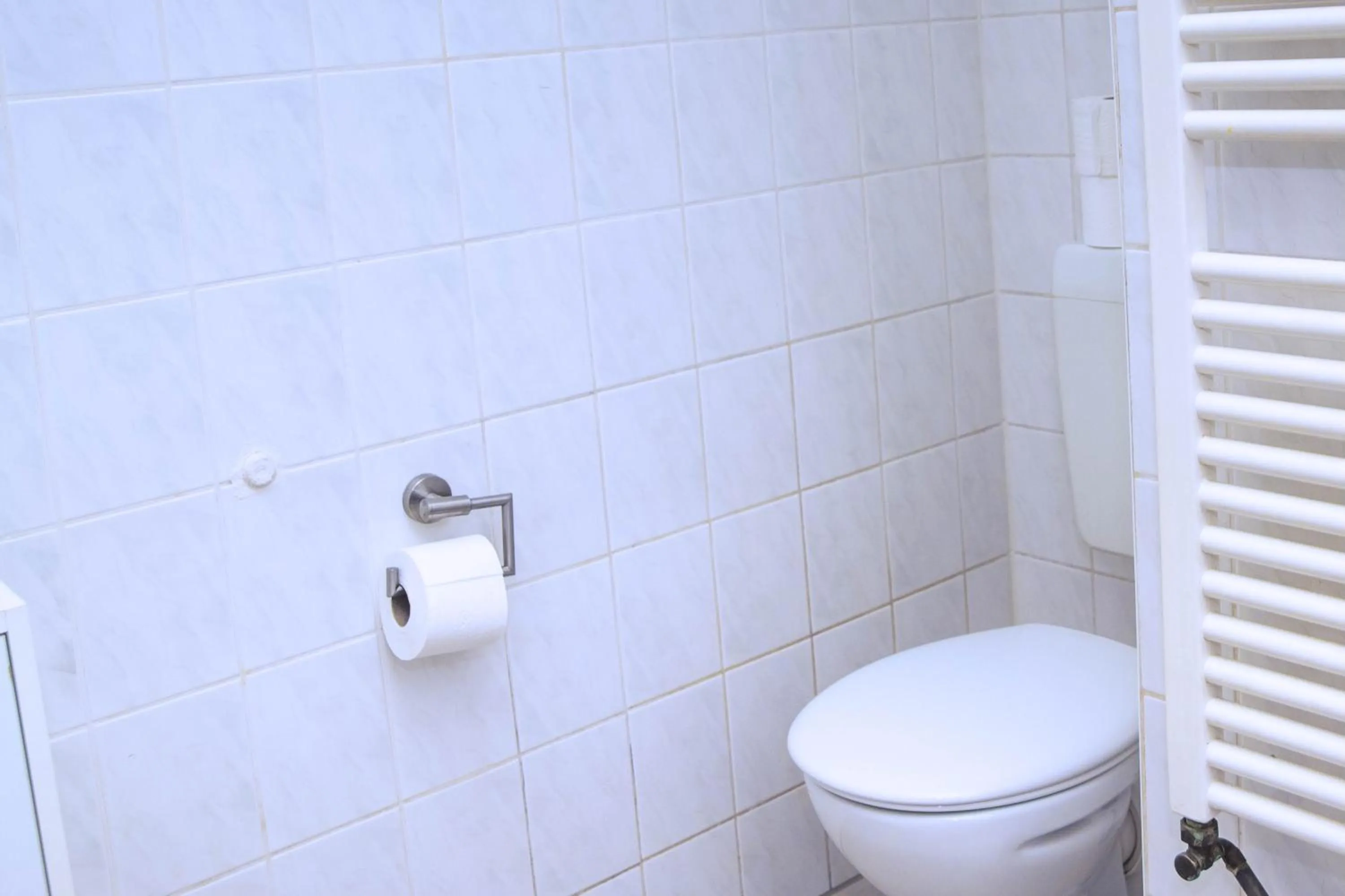 Toilet in Rothenberger Plauen