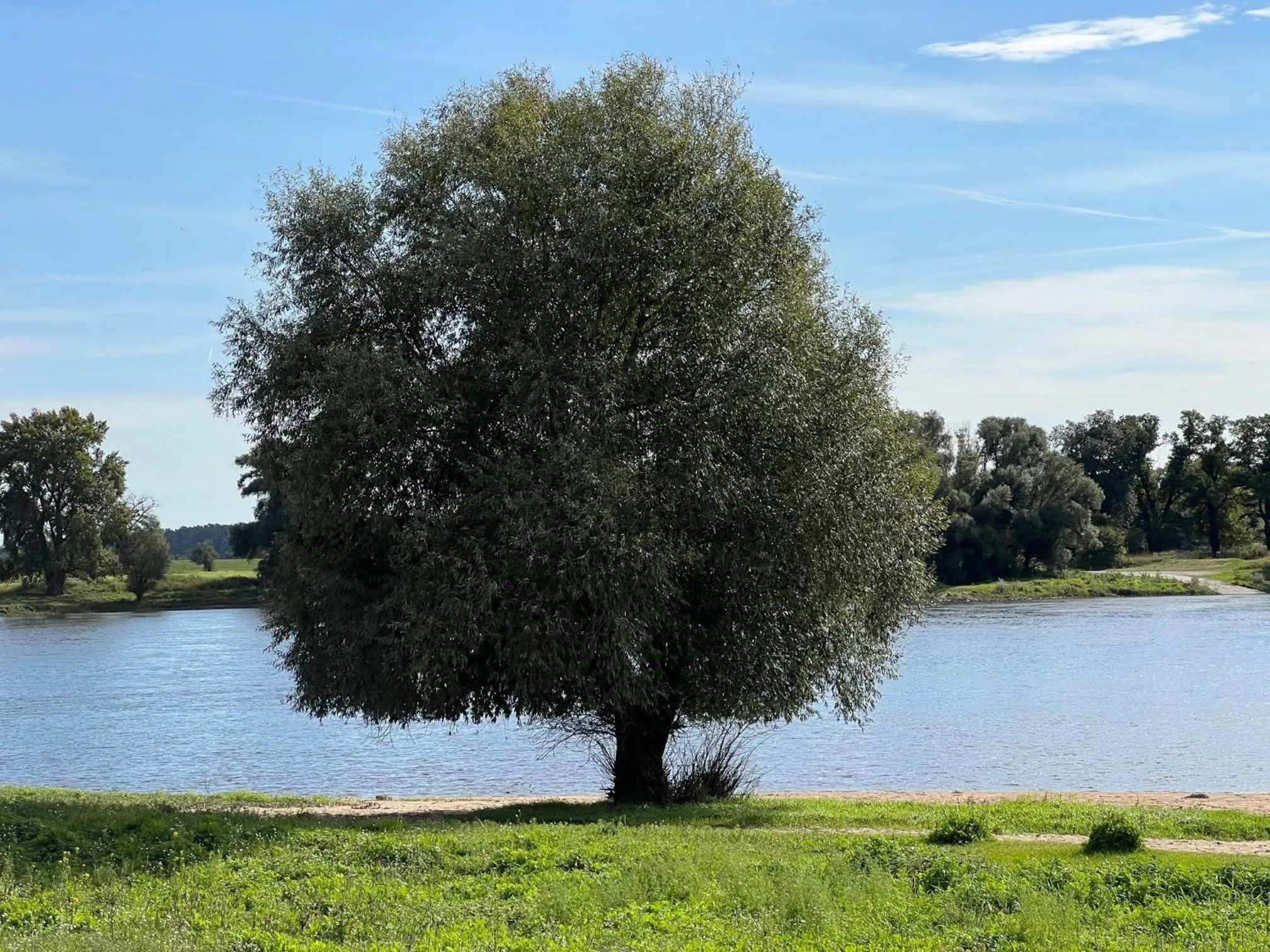 Hotel Alte Fischerkate