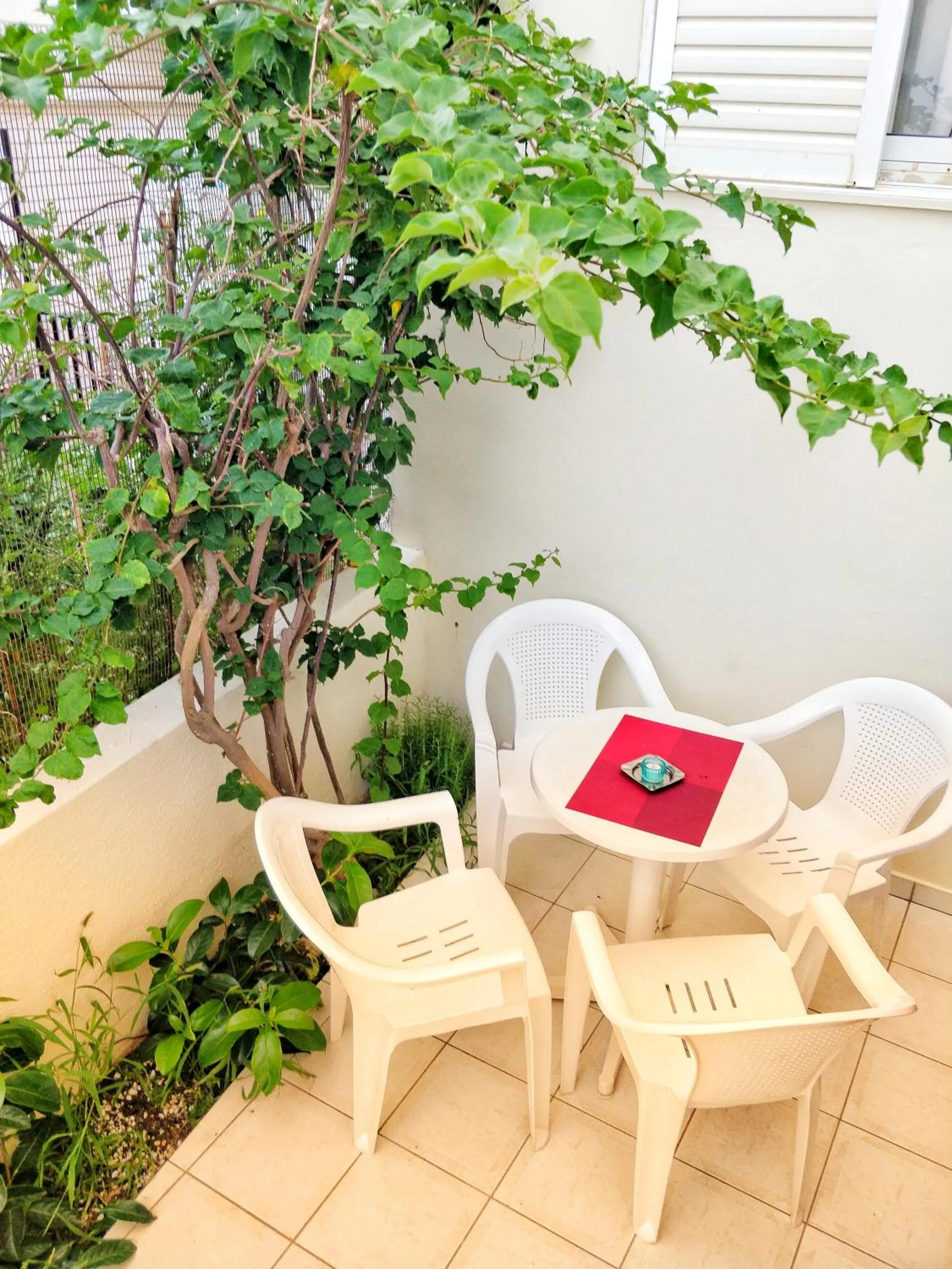 Patio in Alexandra Hotel