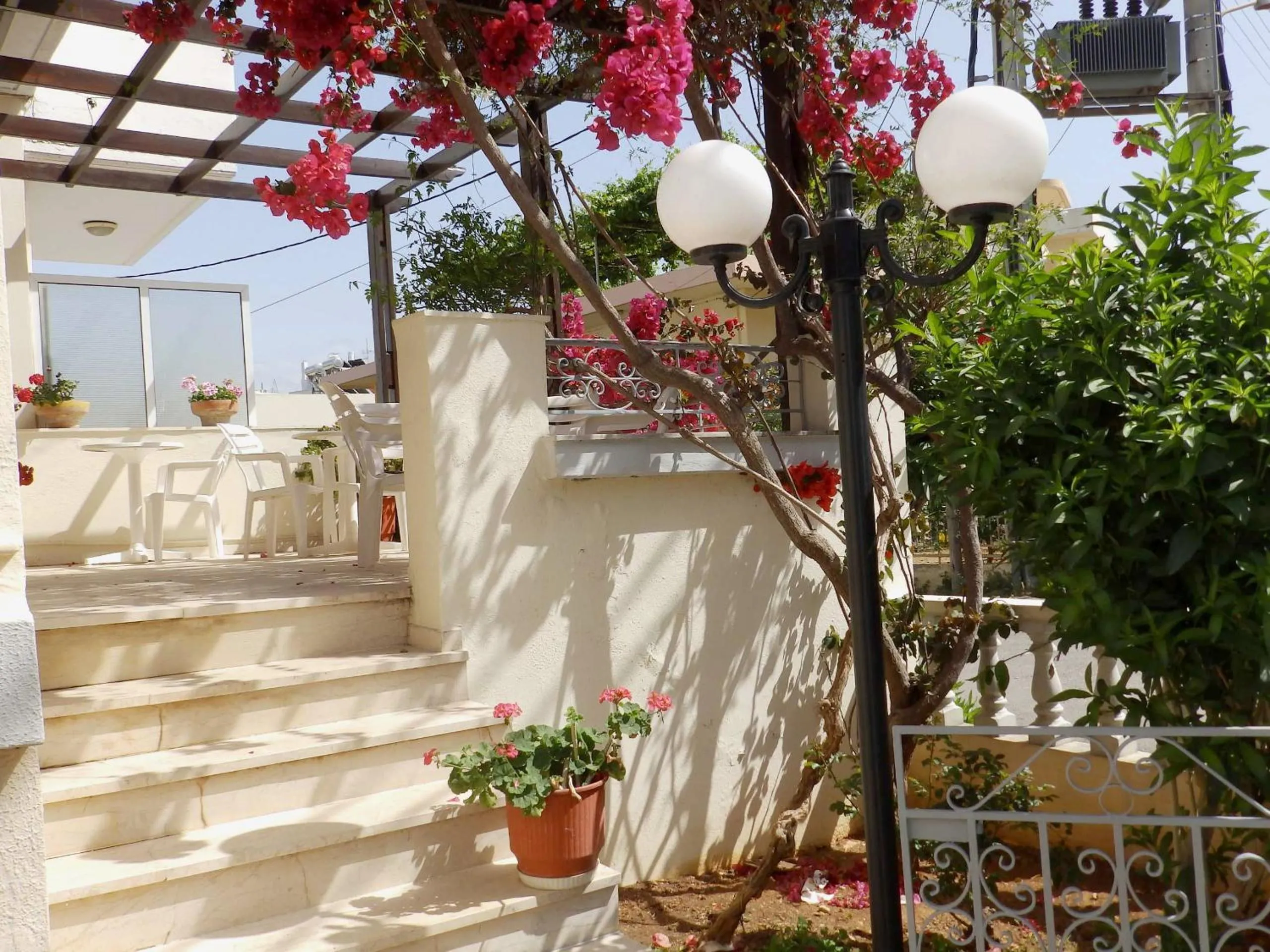 Patio in Alexandra Hotel