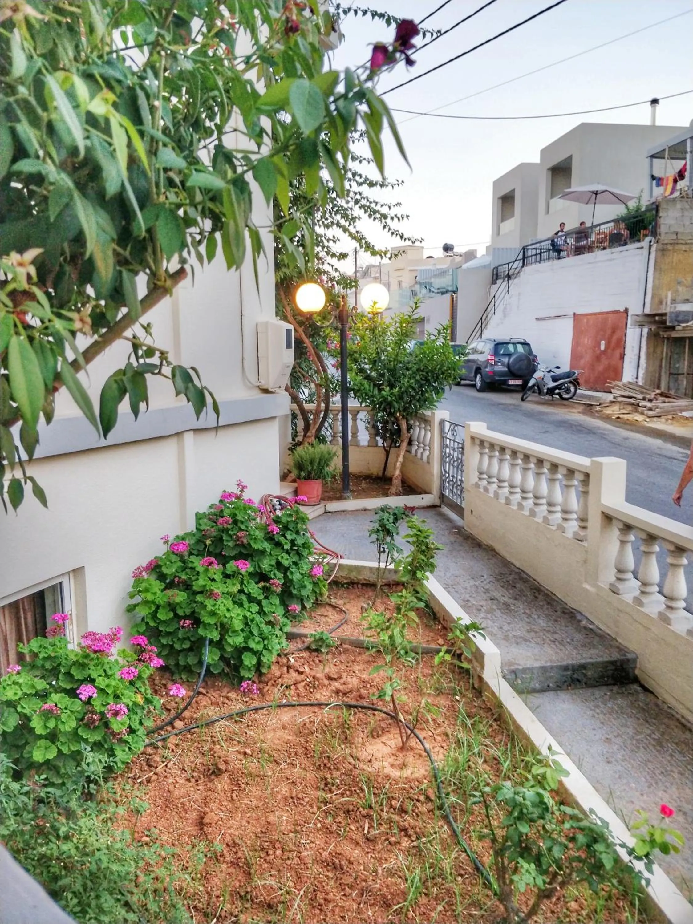 Garden in Alexandra Hotel