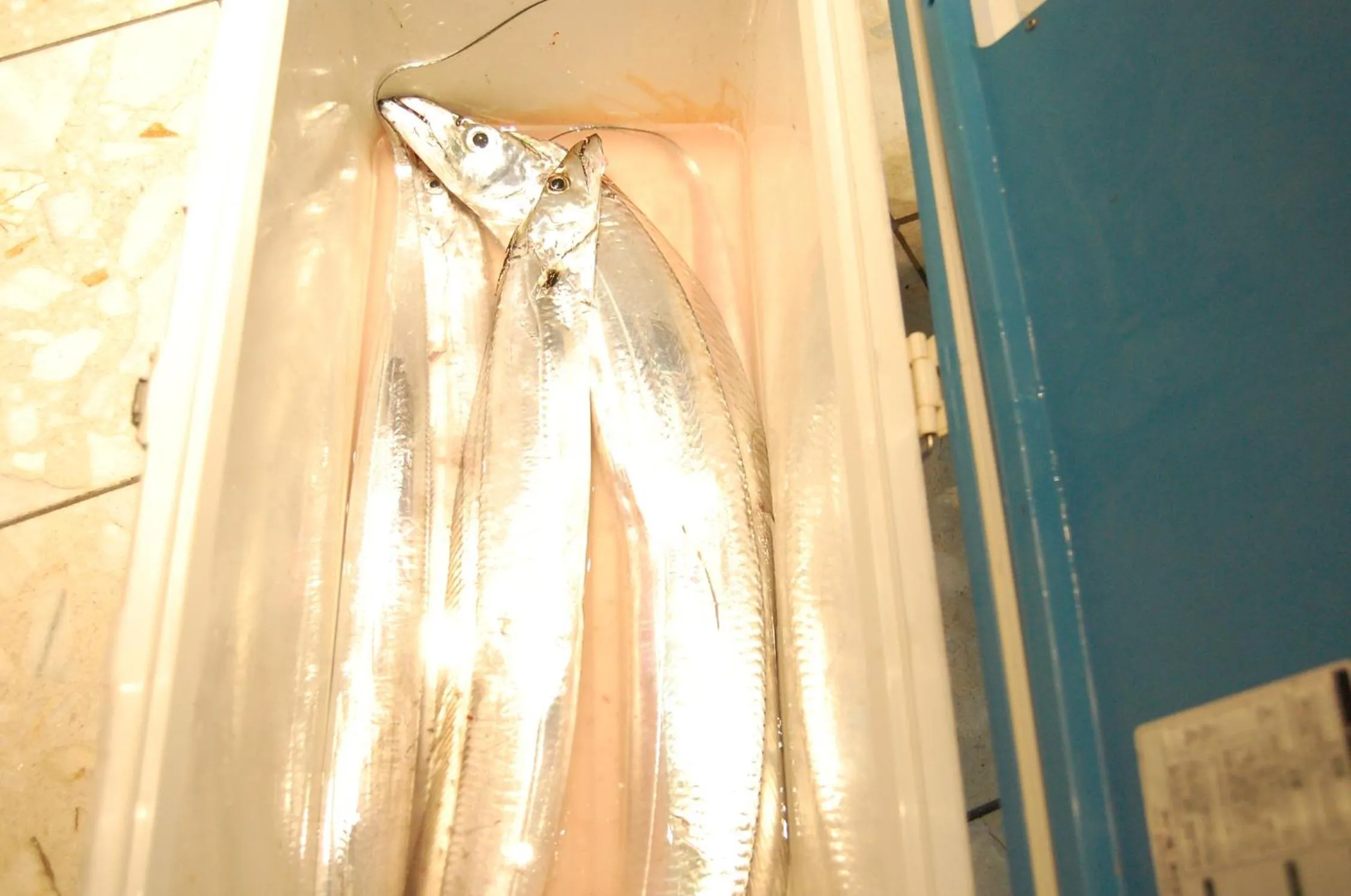 Seagrande Shimizu Station Hotel