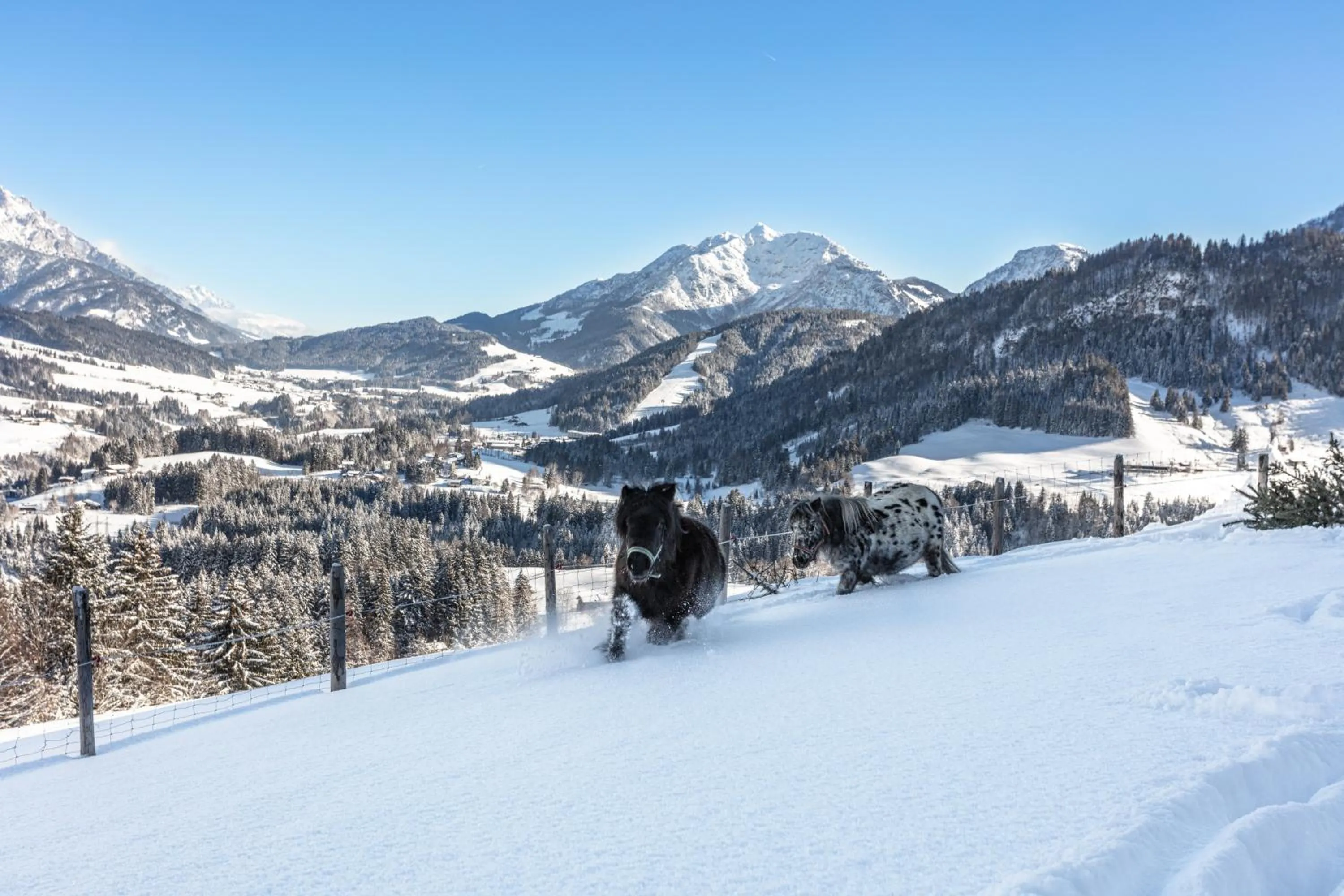 Winter in Ferienwohnungen Egg