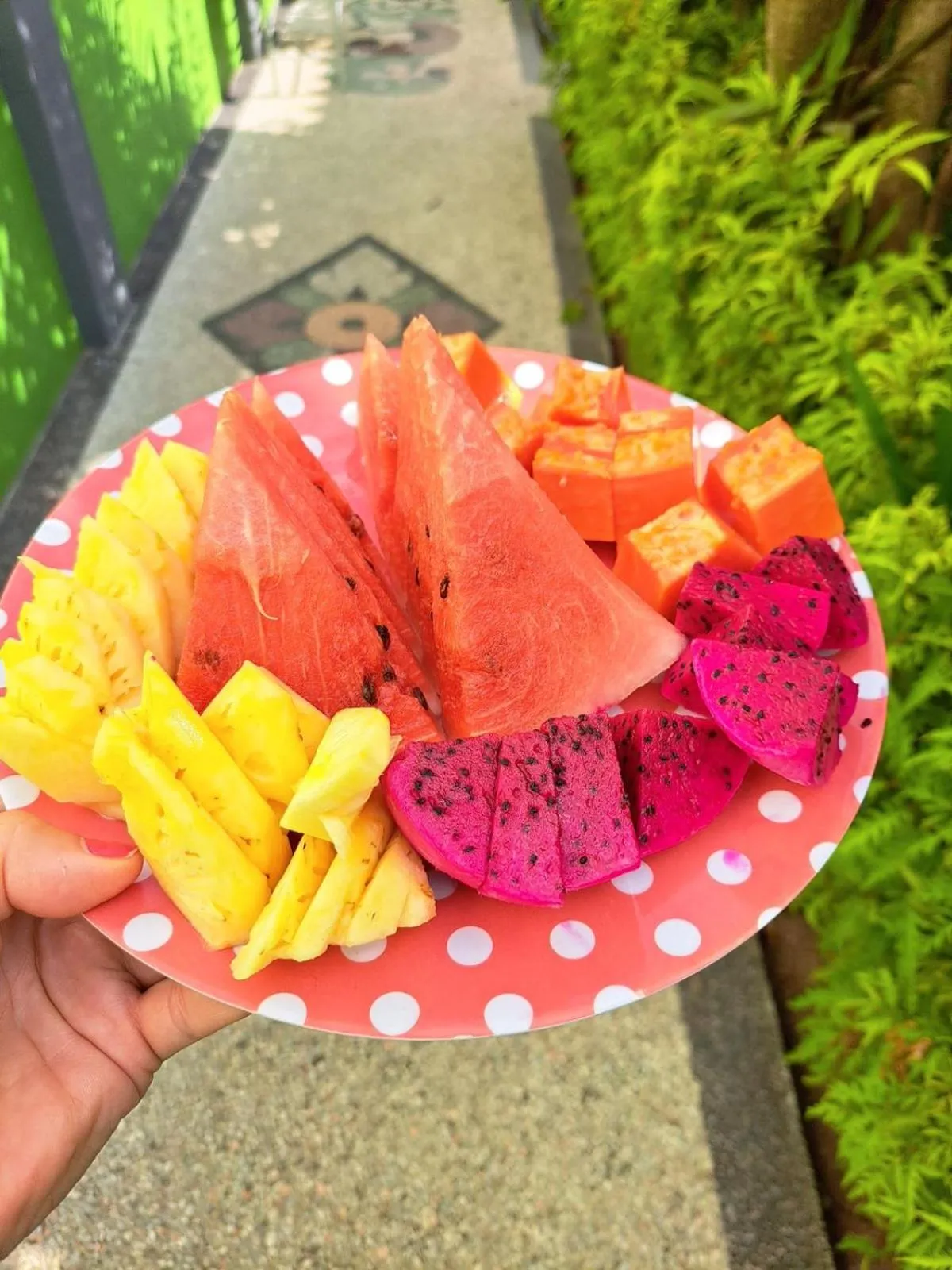 Food in Family Garden Homestay