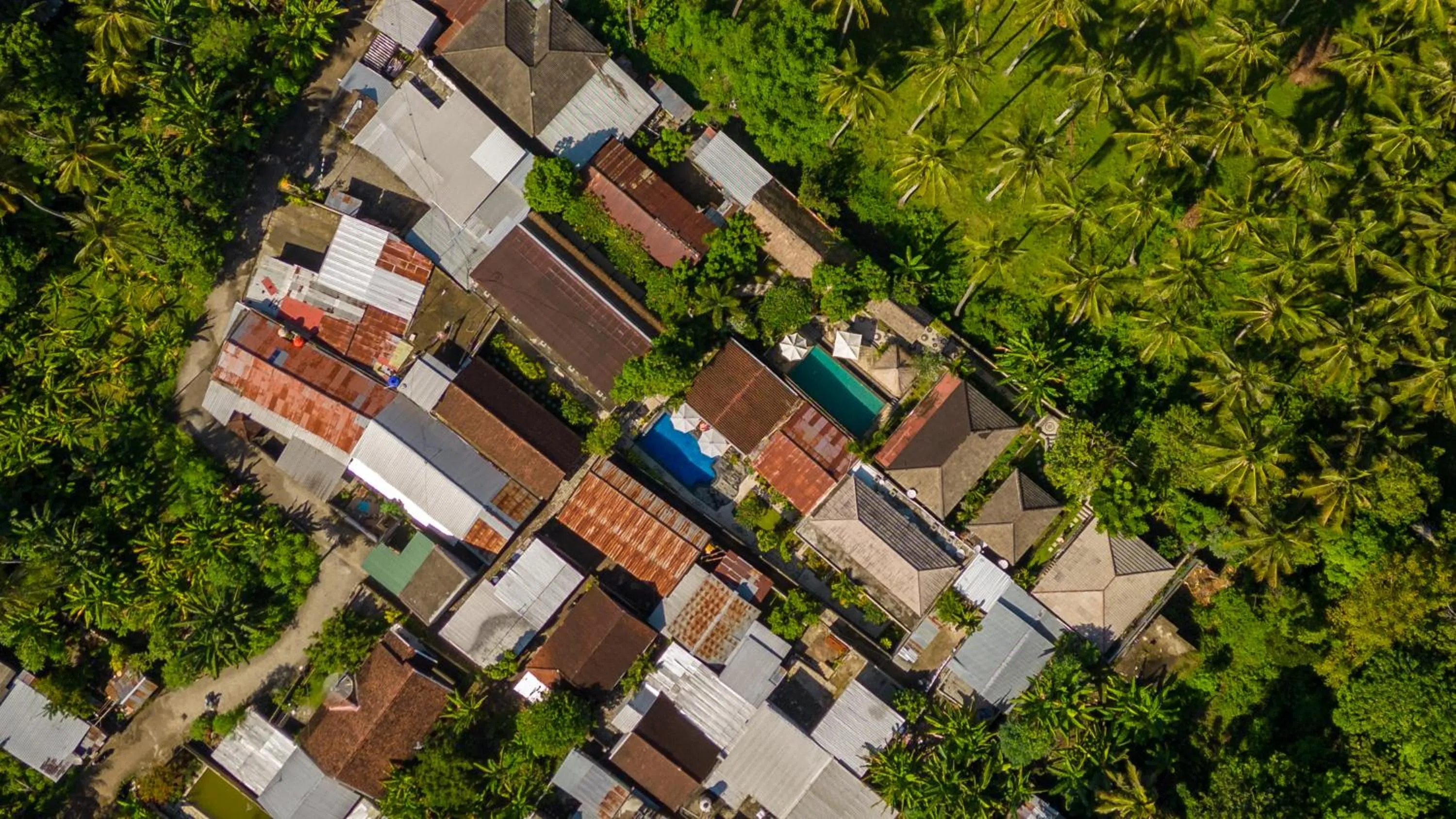 Family Garden Homestay