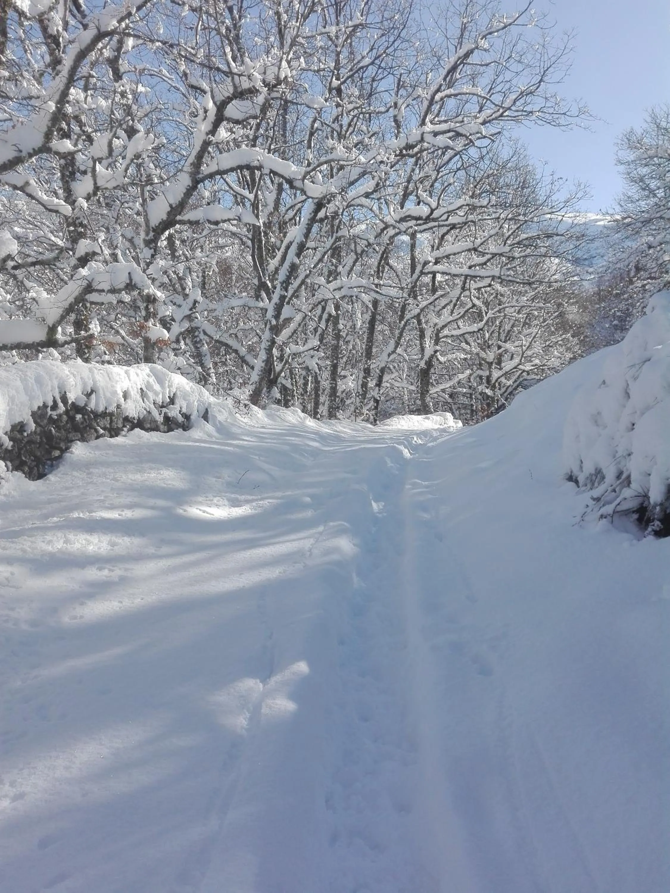 Hotel La Casa Chacinera