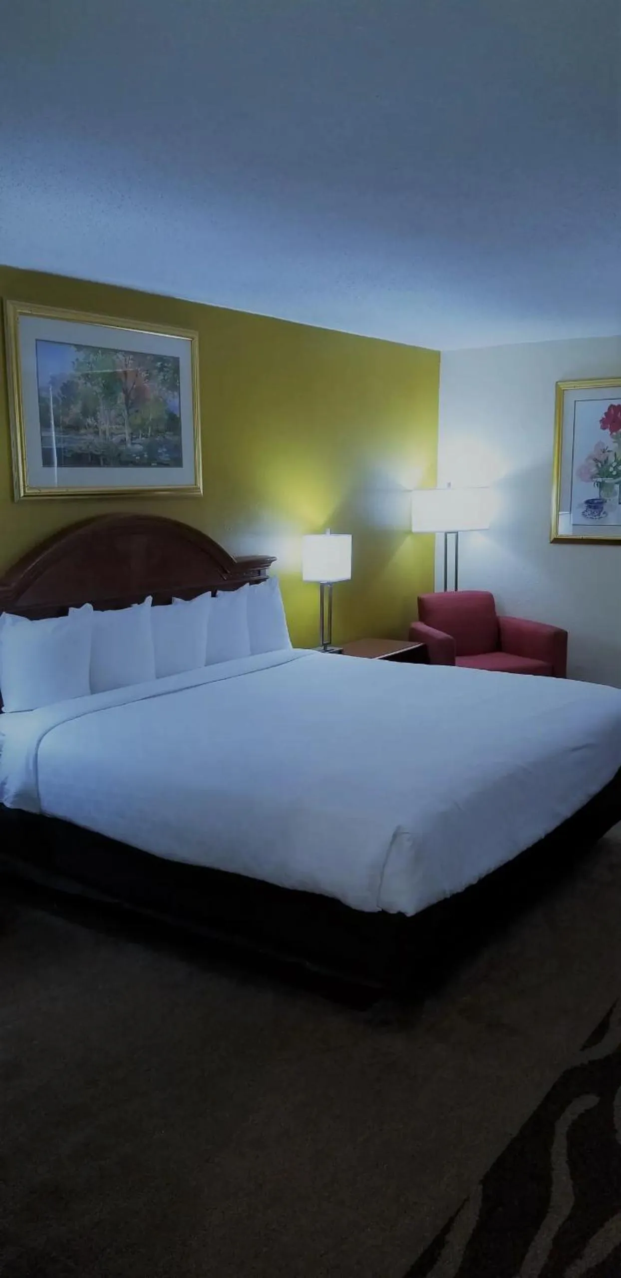 Bed in LeBossier Hotel