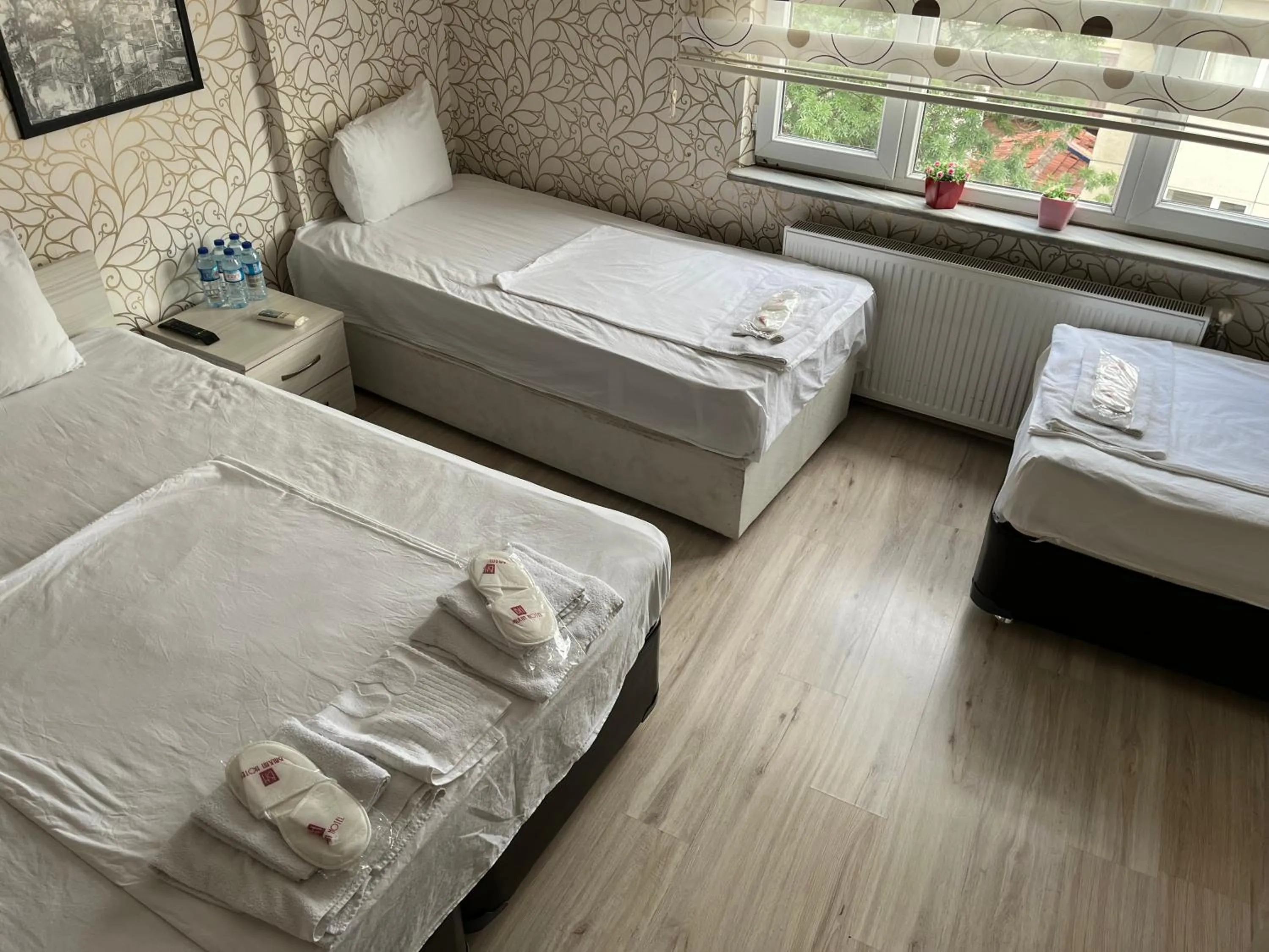 Photo of the whole room, Bed in Balkan Palace Edirne