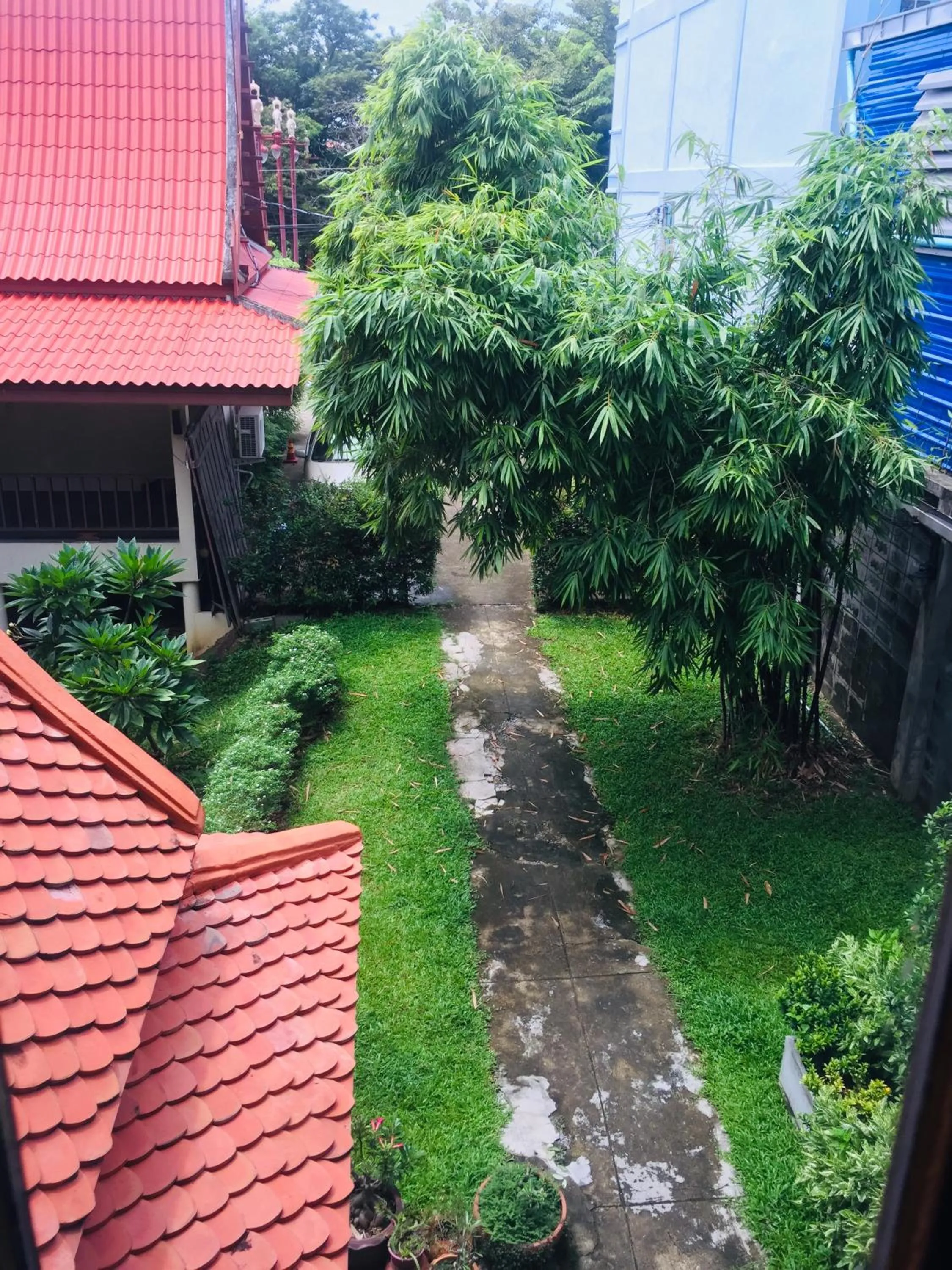 View (from property/room) in Luang Chumni Village