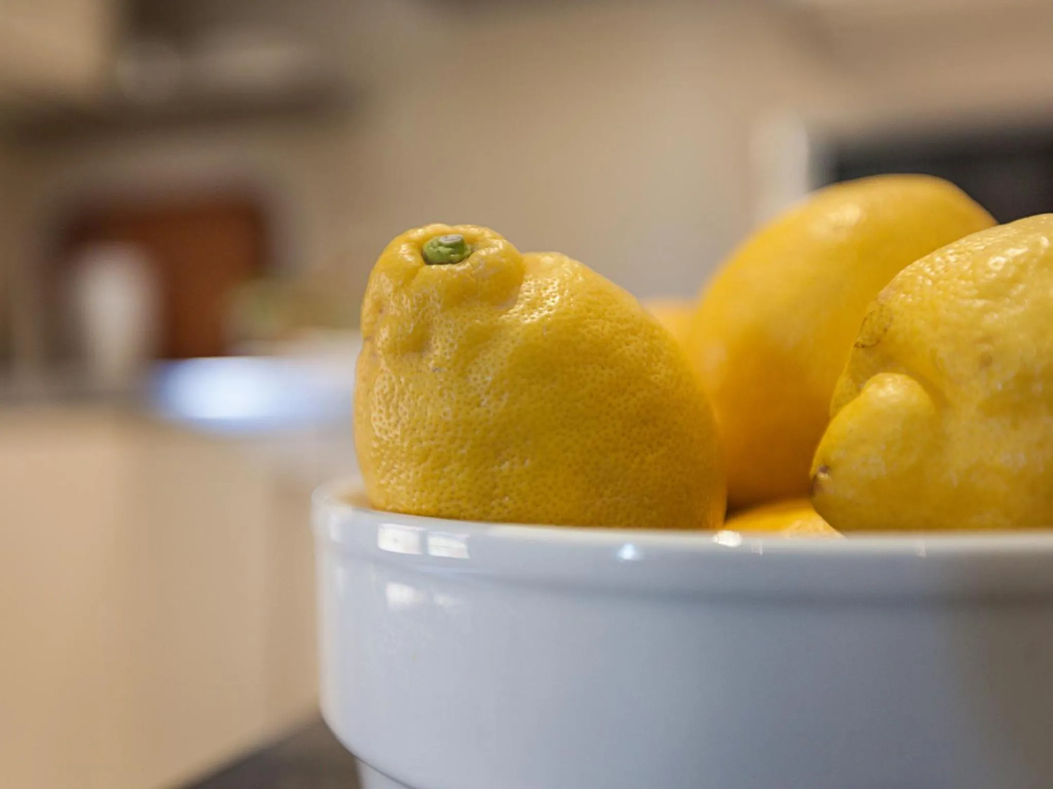 Food and drinks in CSE Apartamentos Altamira