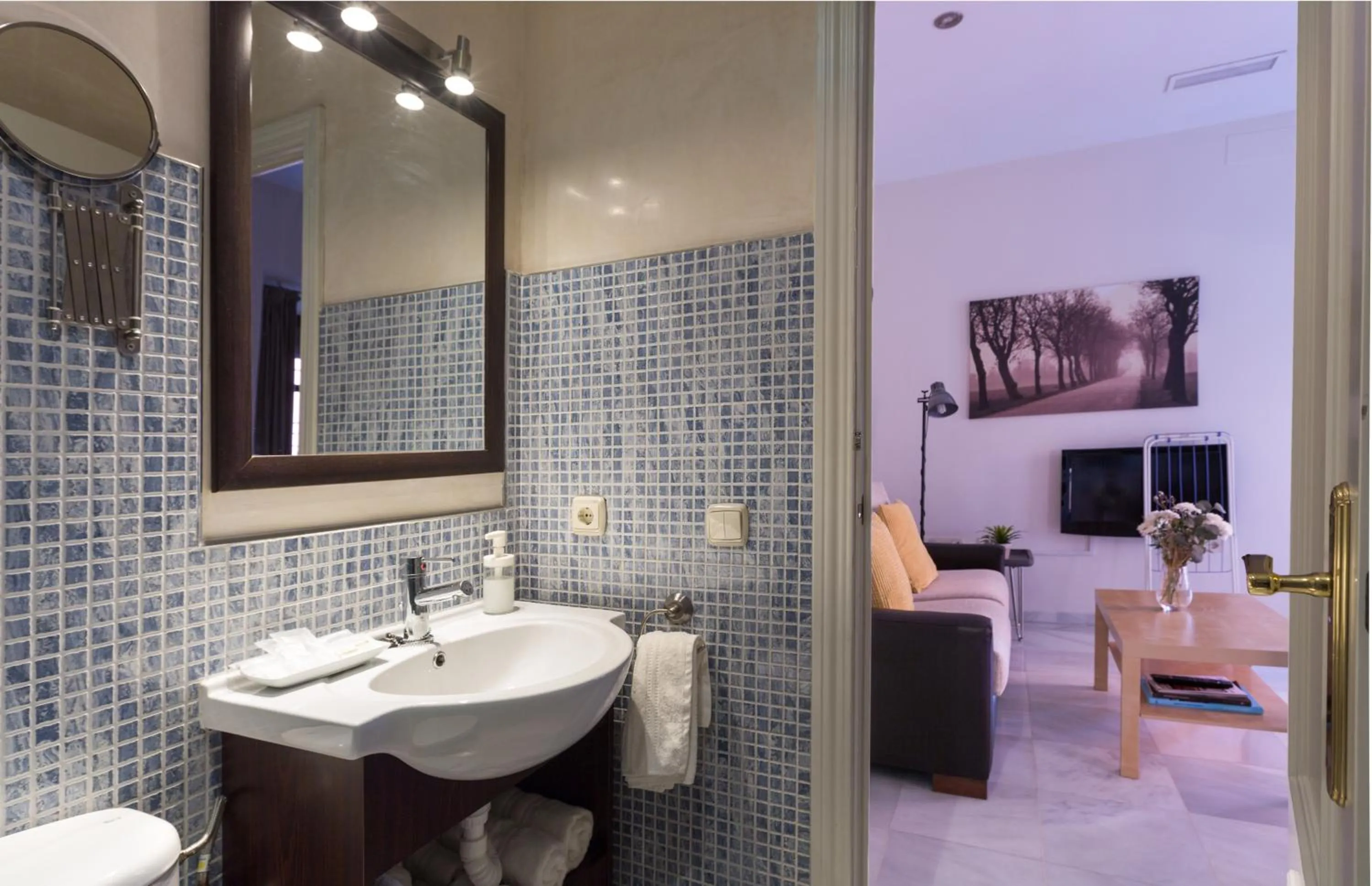 Toilet in CSE Apartamentos Altamira