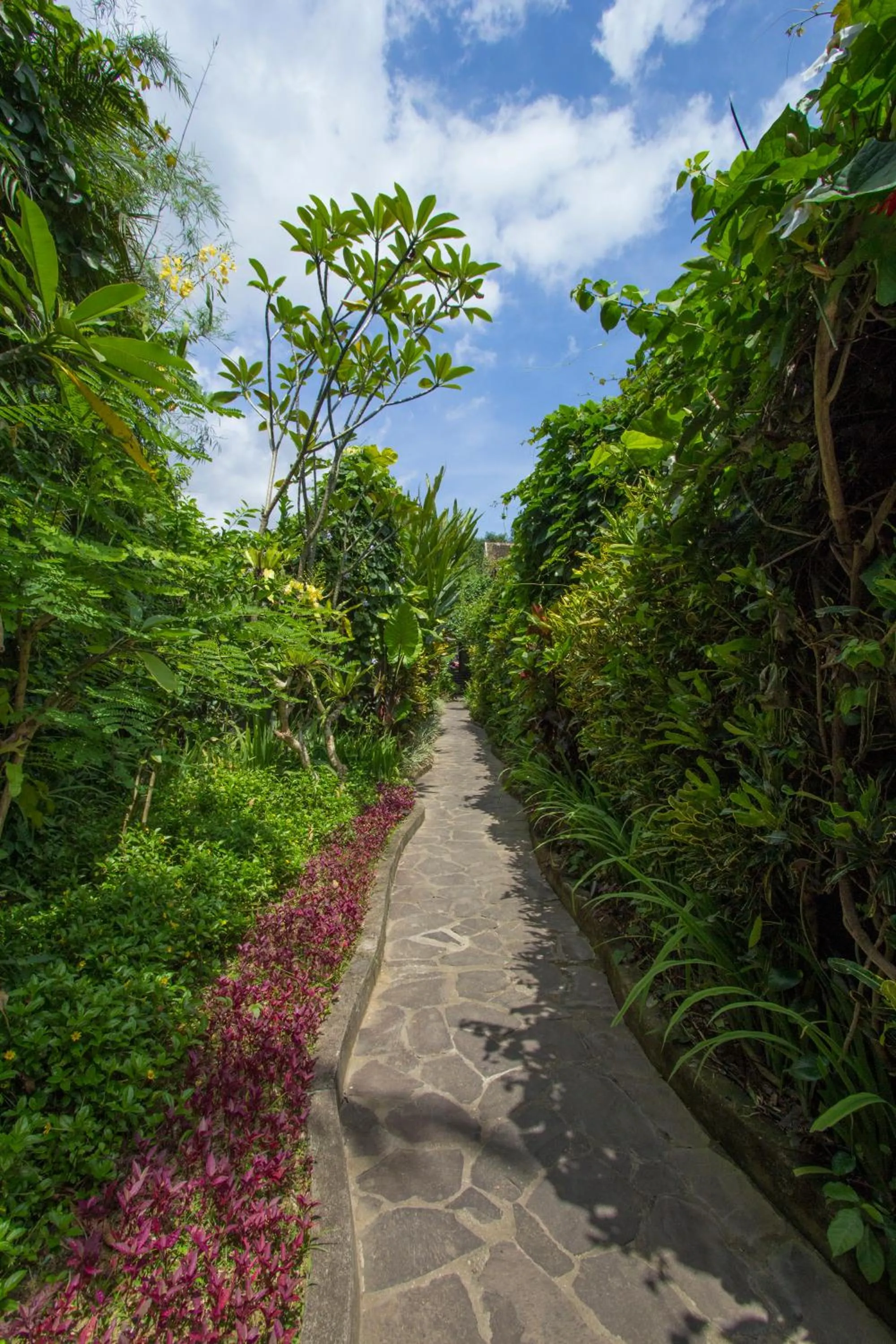 Garden in Ladera Villa Ubud
