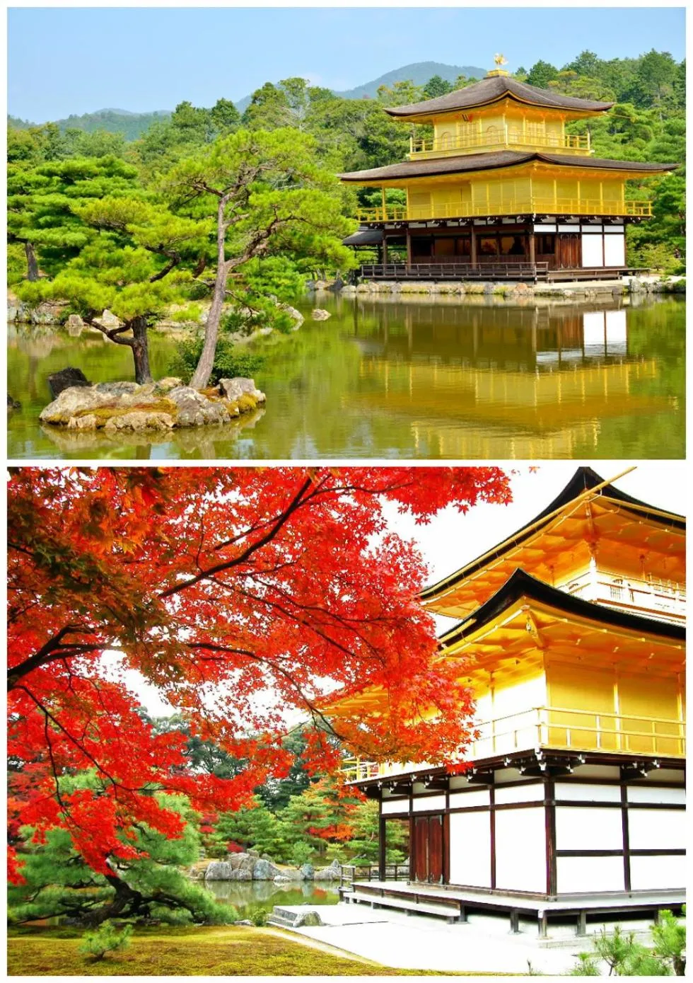 Nearby landmark in Funhouse Kaori