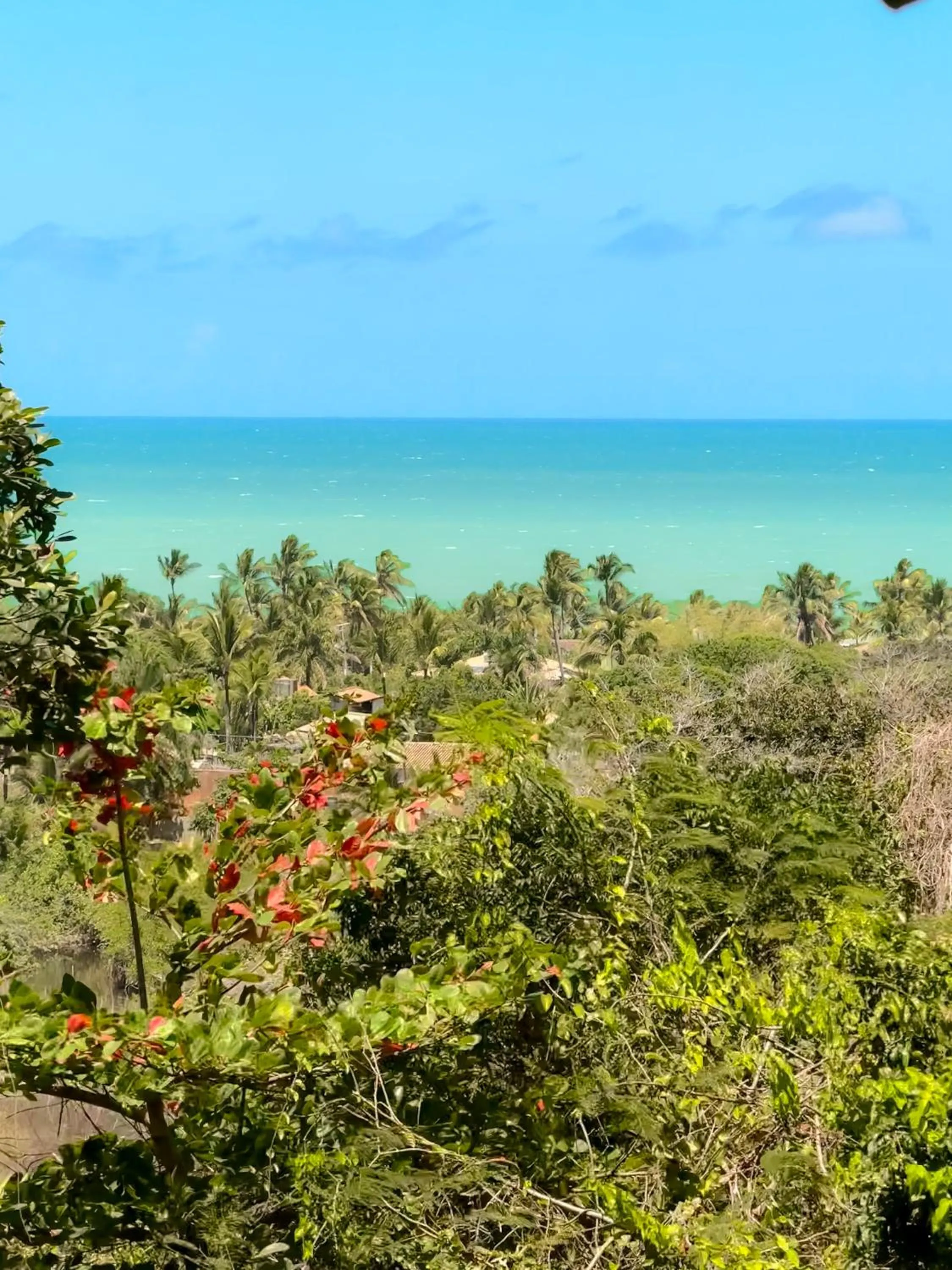 Casa Rabanete Trancoso