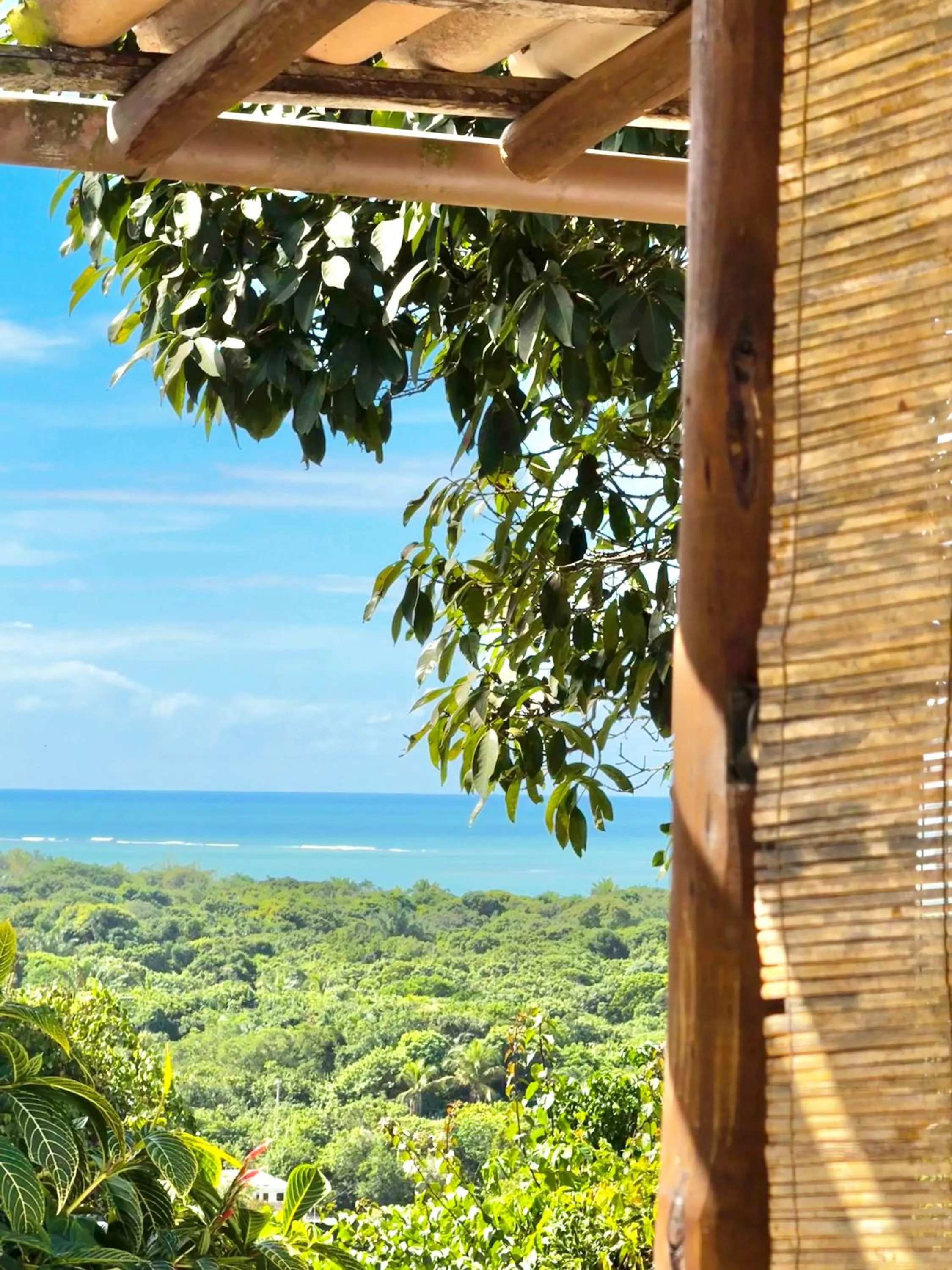 Casa Rabanete Trancoso