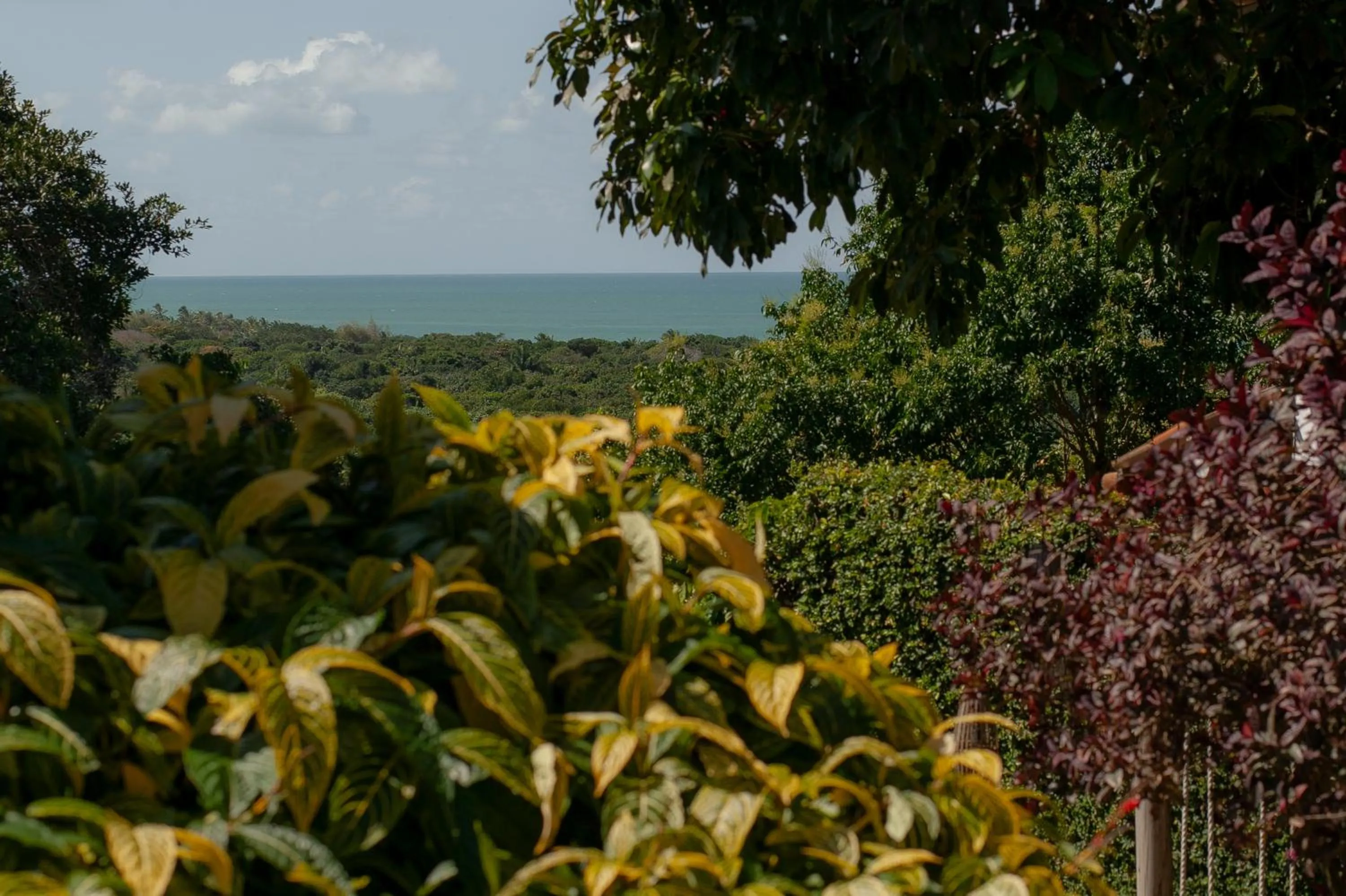Casa Rabanete Trancoso