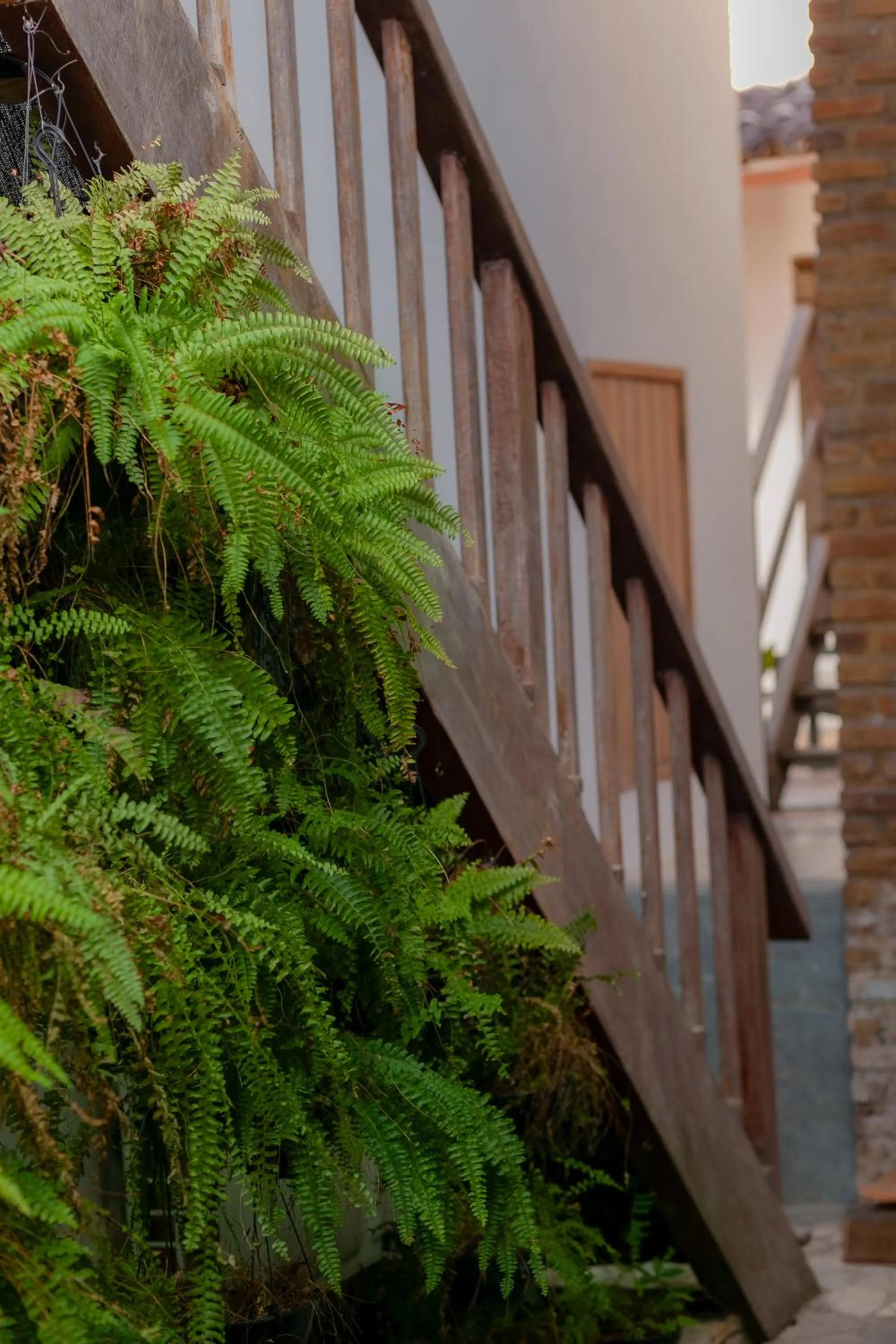 Casa Rabanete Trancoso