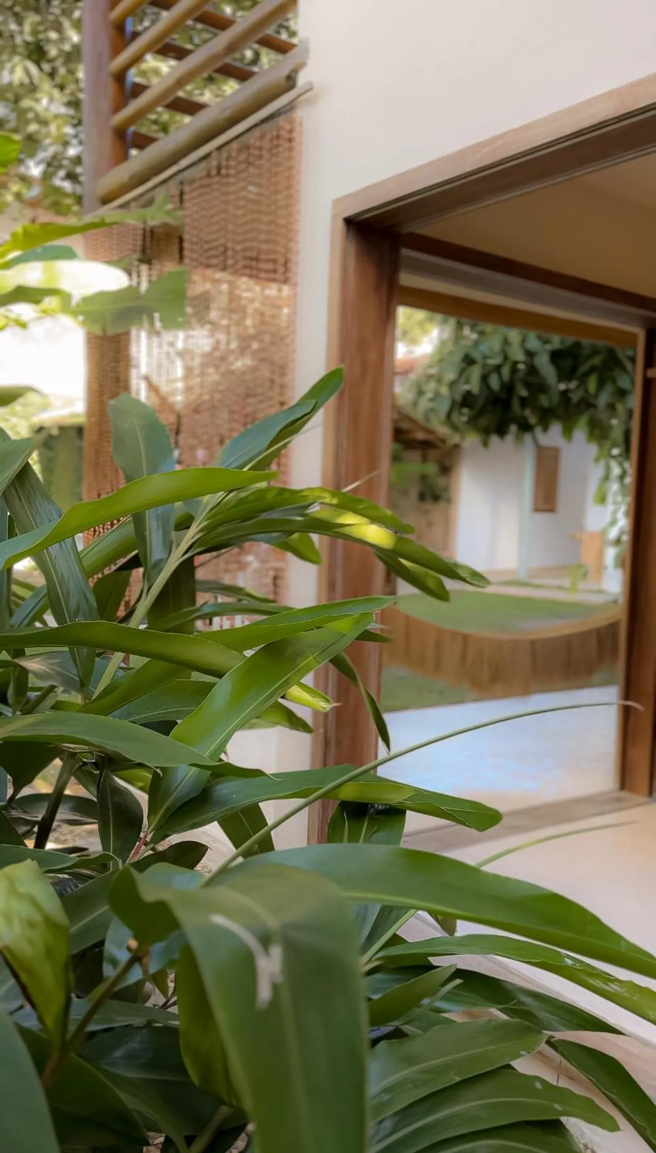 Casa Rabanete Trancoso