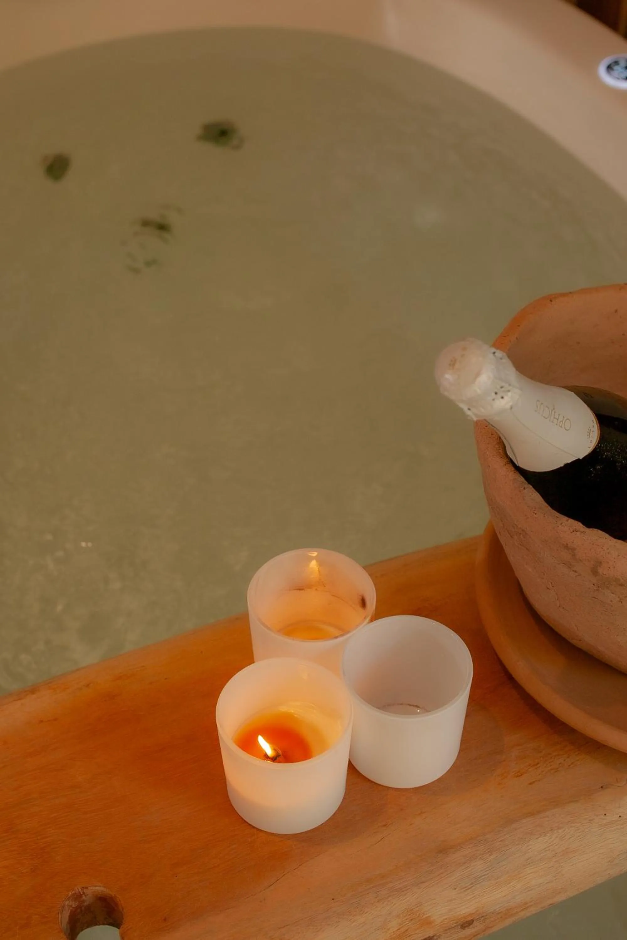 Casa Rabanete Trancoso