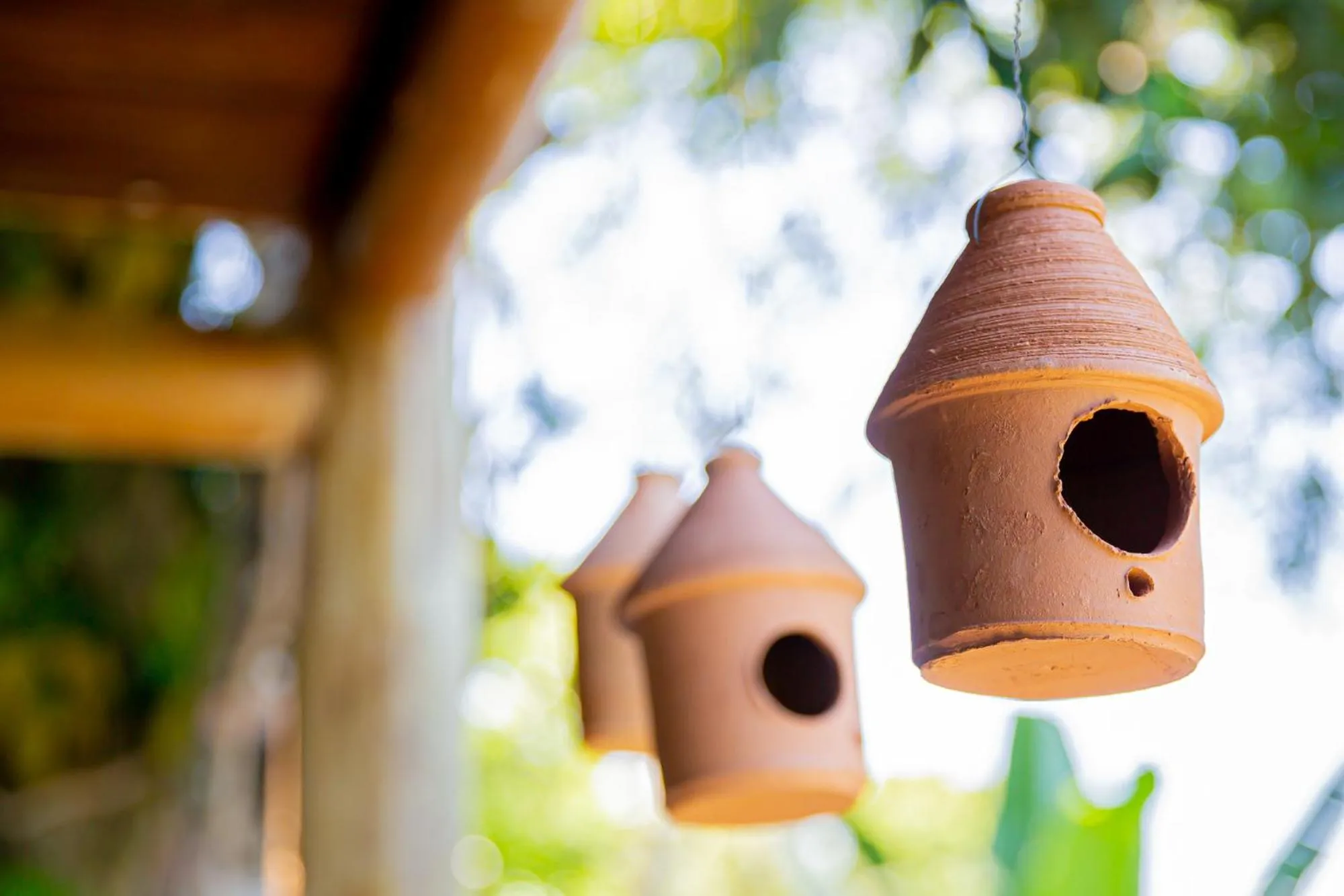 Casa Rabanete Trancoso