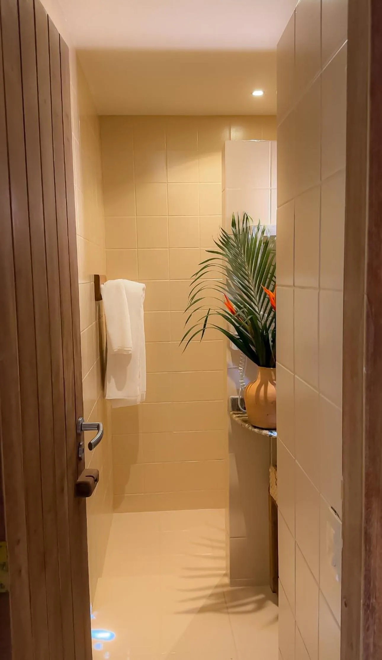 Casa Rabanete Trancoso