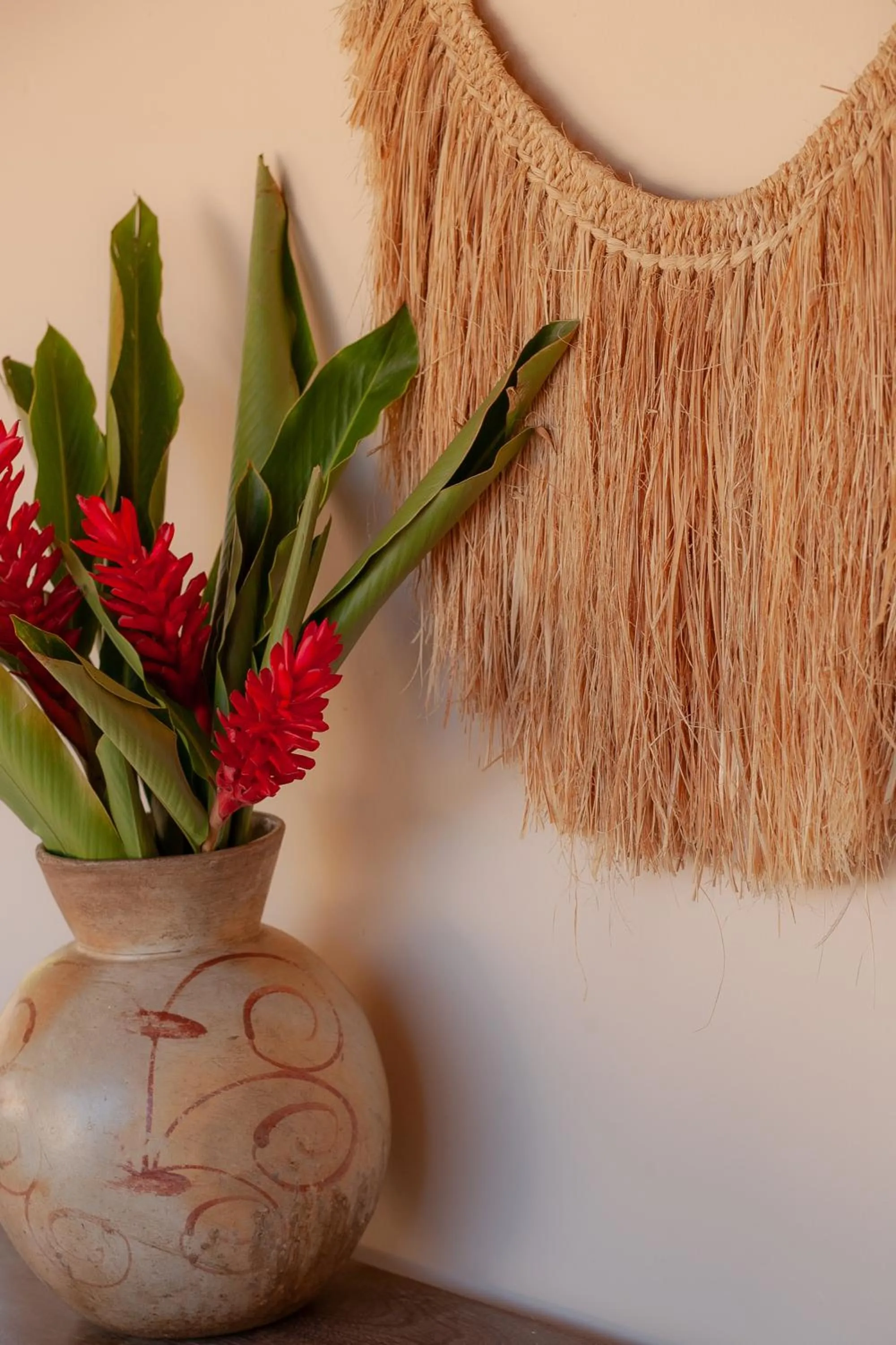 Casa Rabanete Trancoso