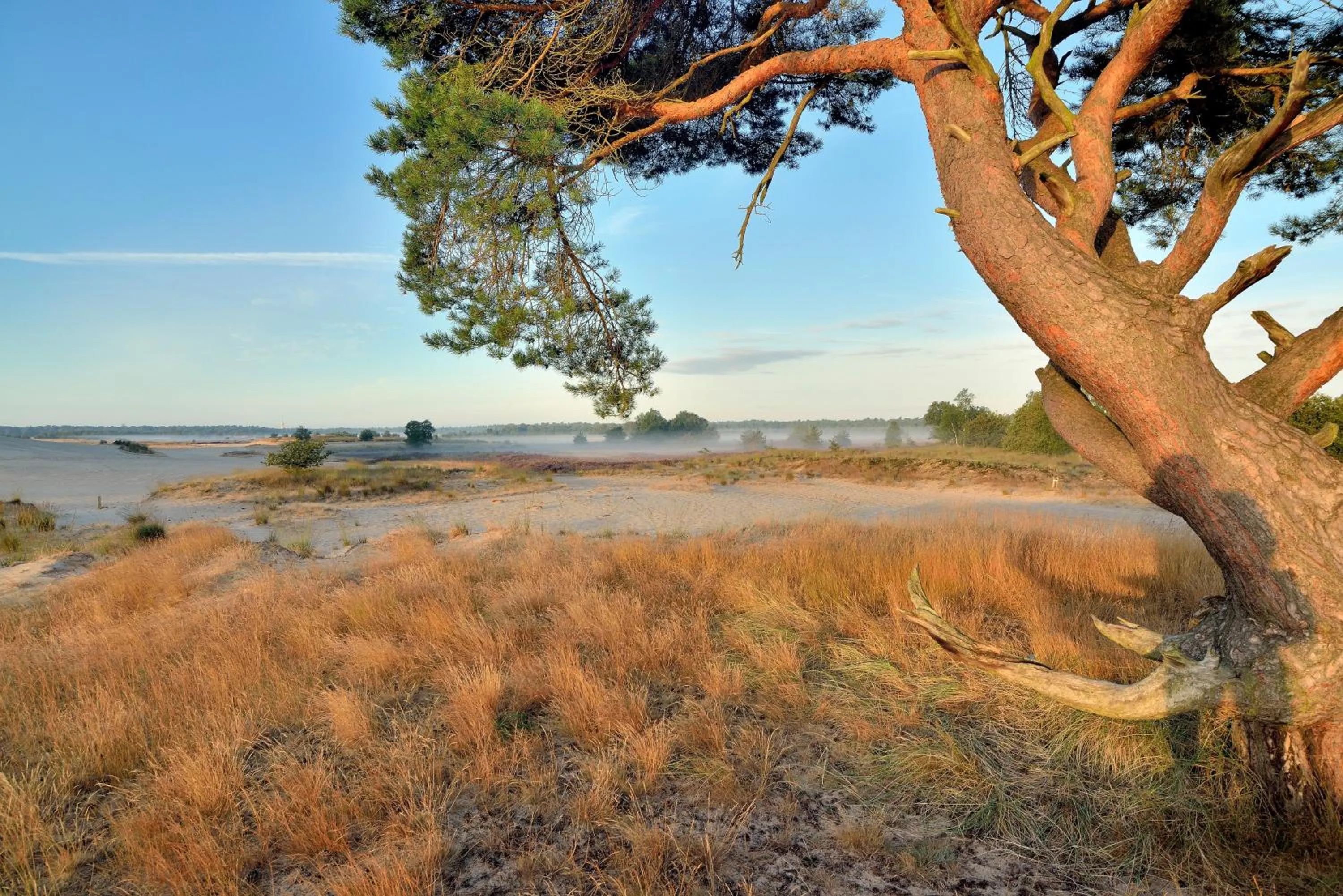 Nearby landmark in DreamZzz Boutique B&B Kaatsheuvel