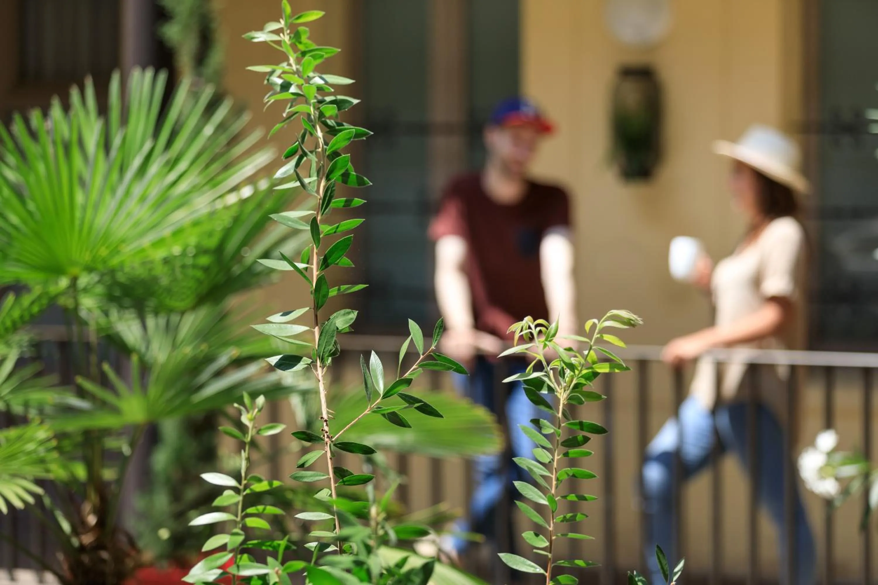 Property building in ibis Styles Toulouse Centre Gare