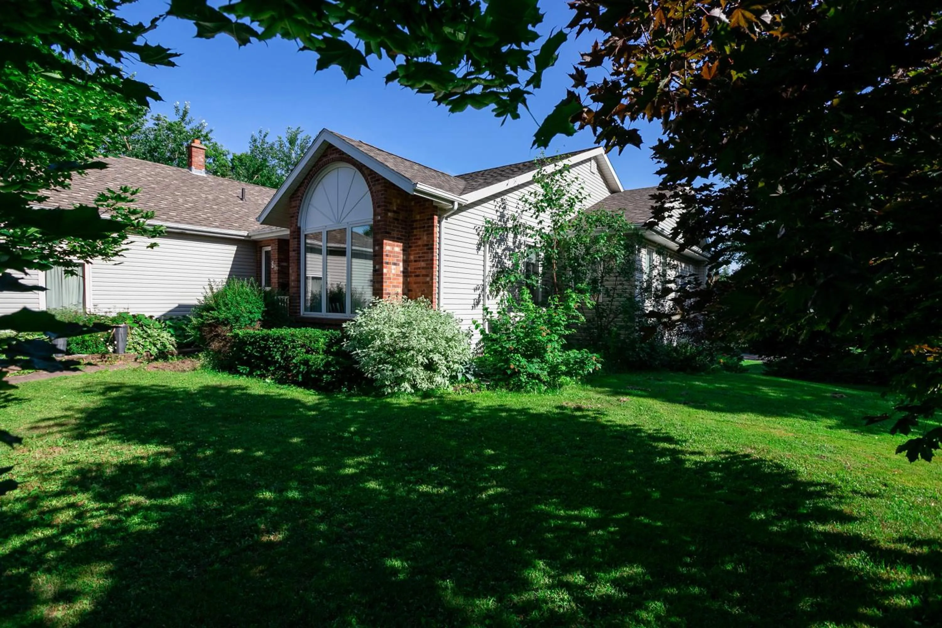 Property building in Lily's garden
