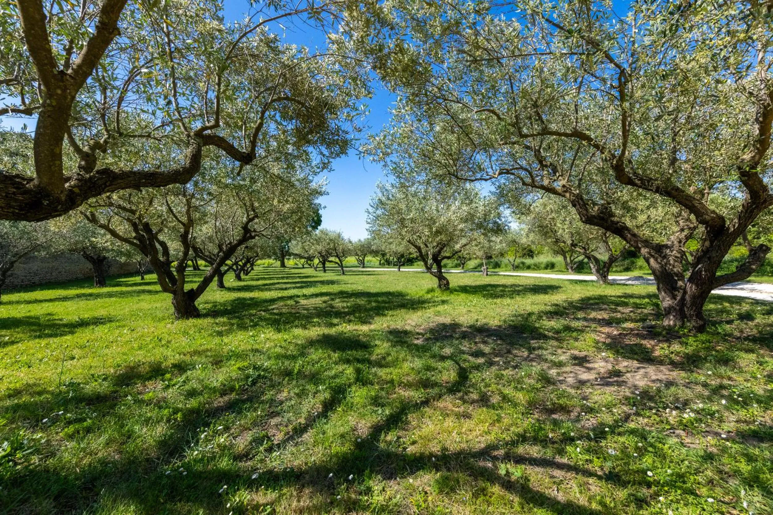 Domaine Des Escaunes