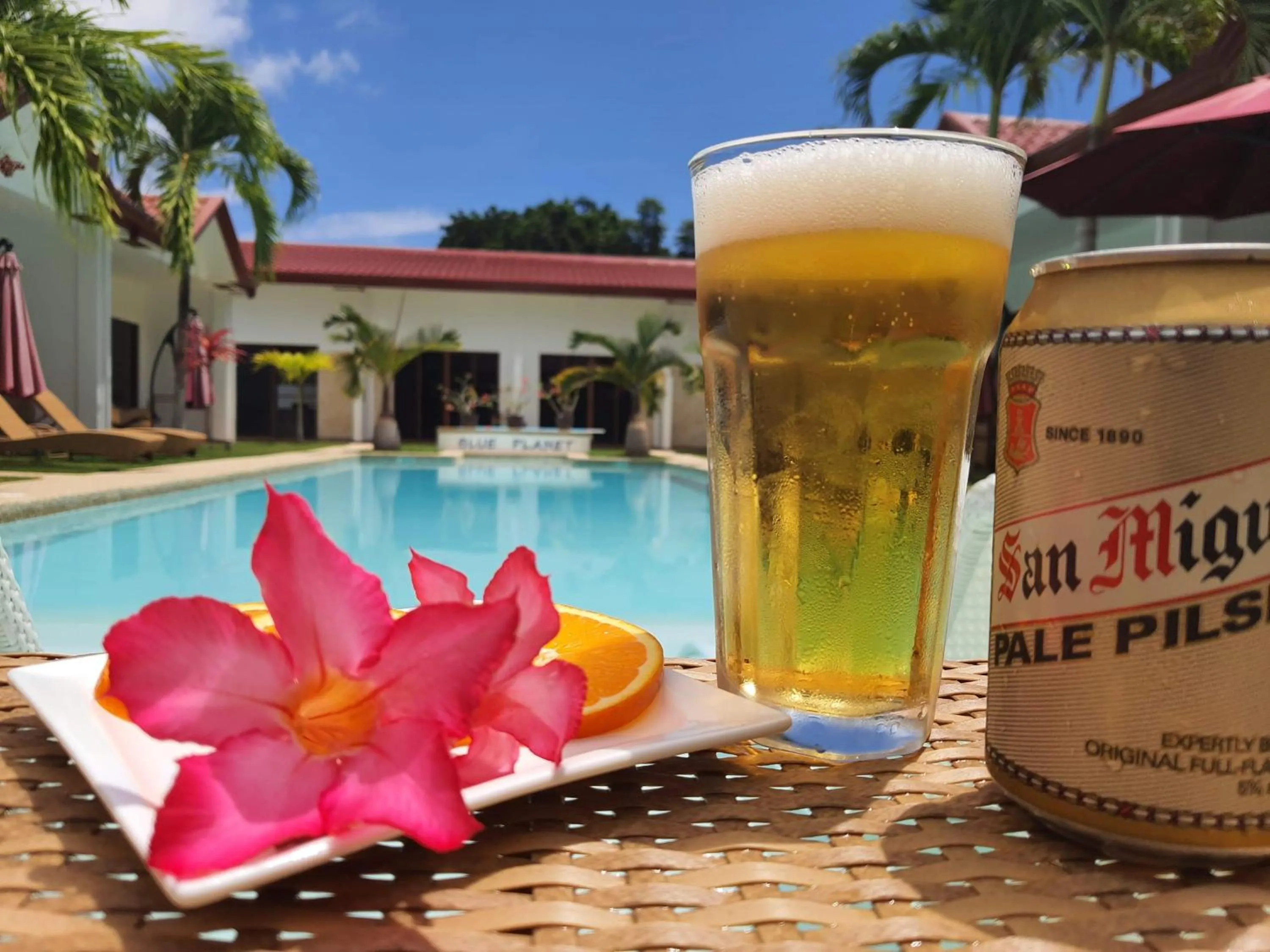 Swimming pool in Blue Planet Panglao