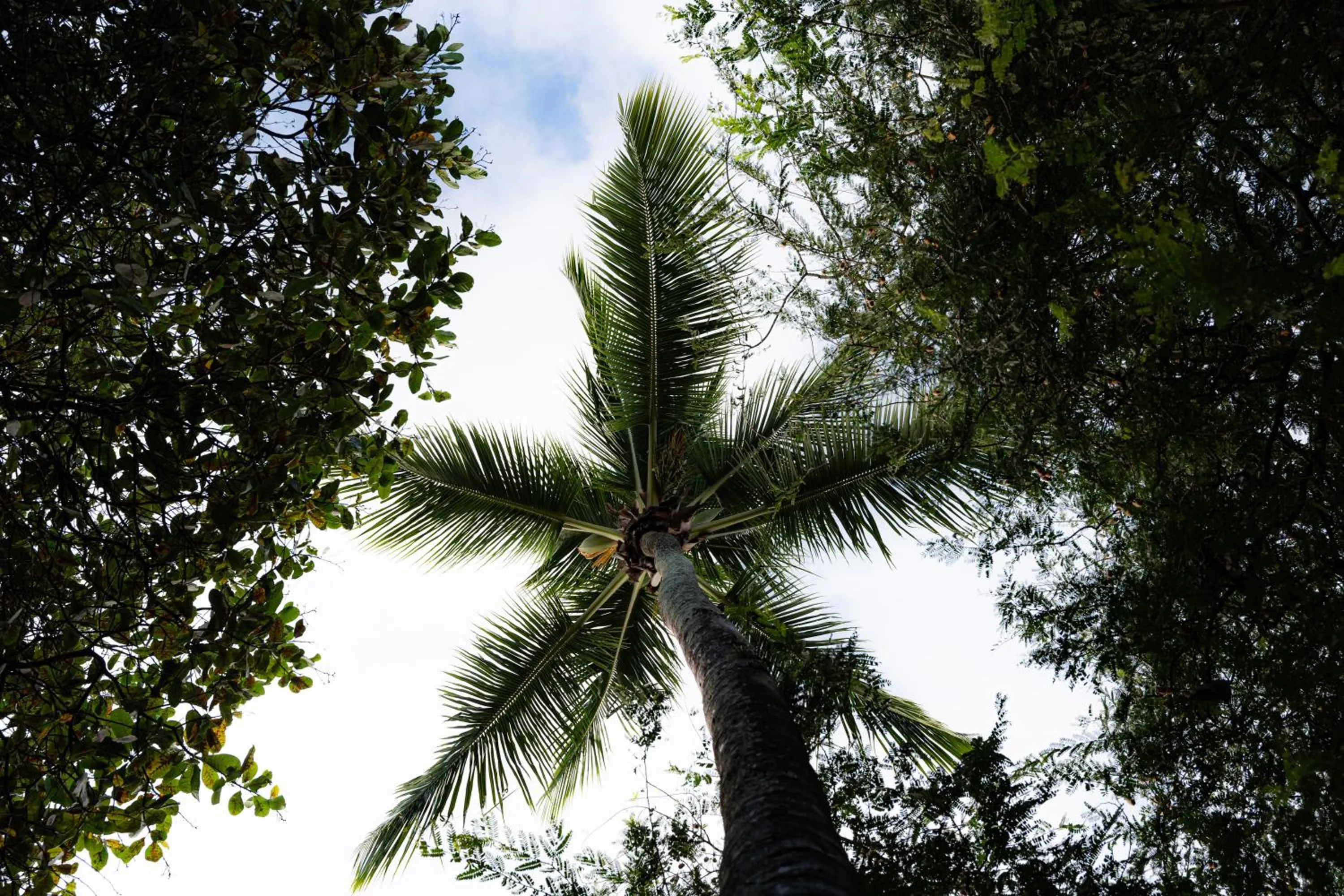 Hotel Pousada Salvador Paradise