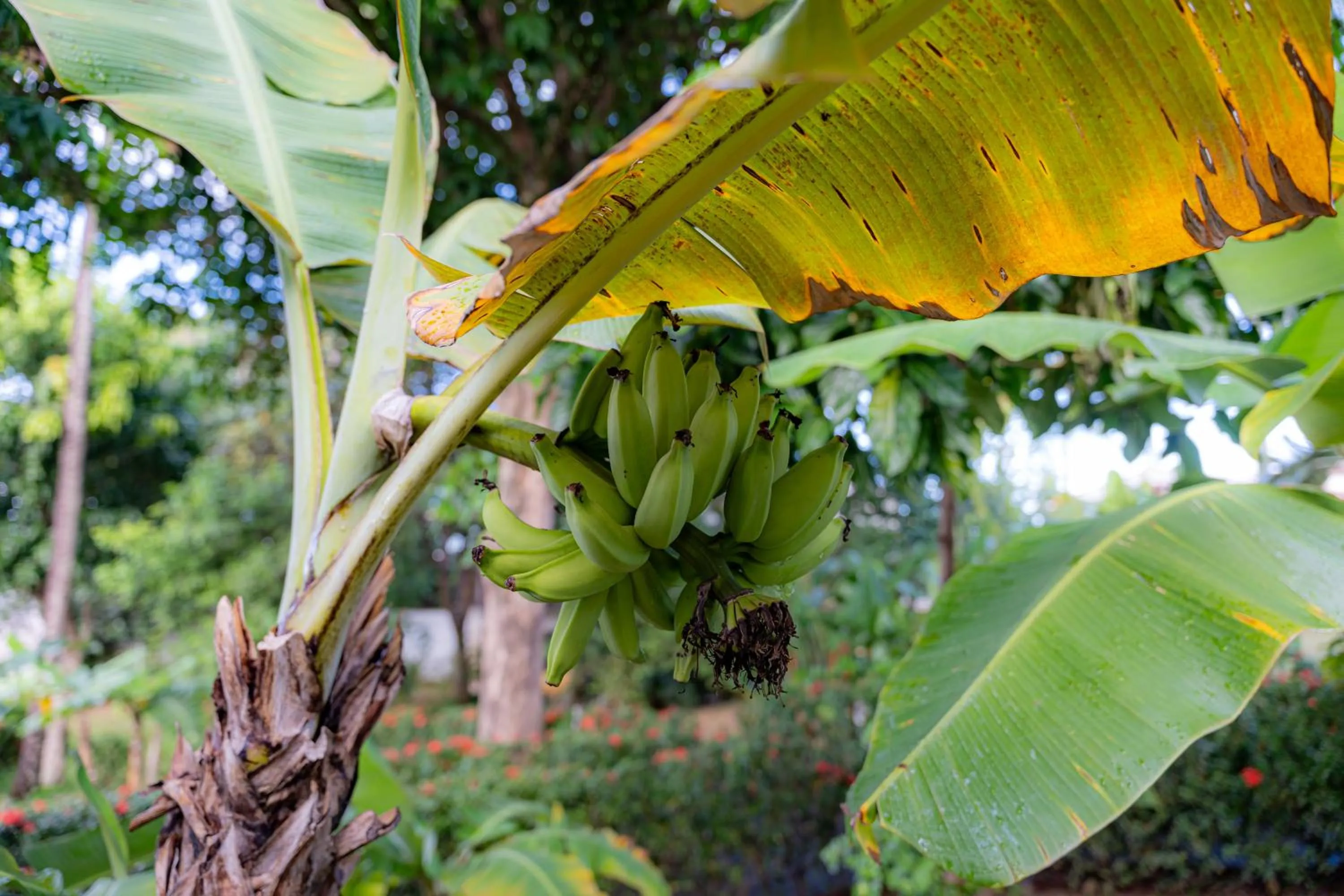 Hotel Pousada Salvador Paradise