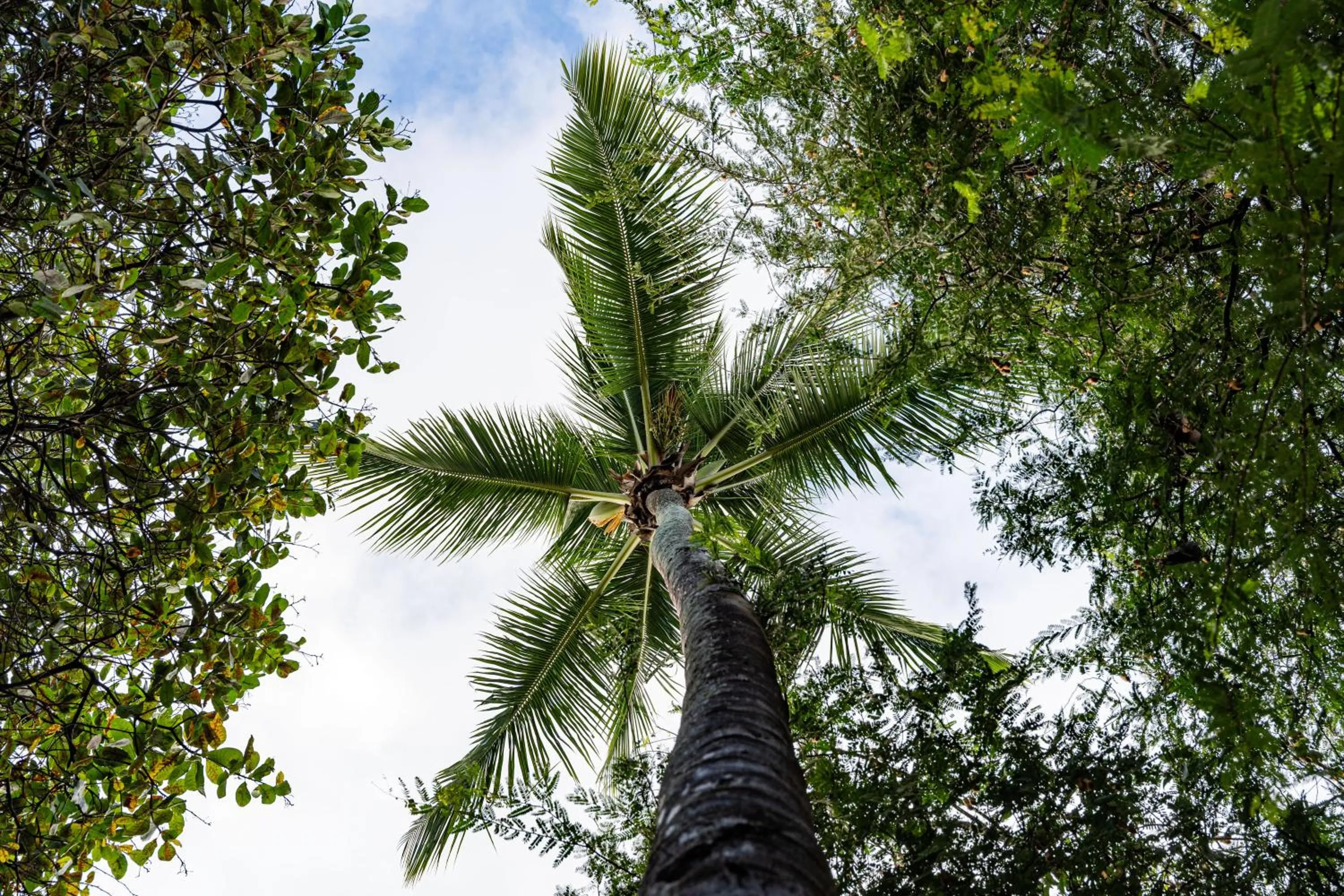 Hotel Pousada Salvador Paradise